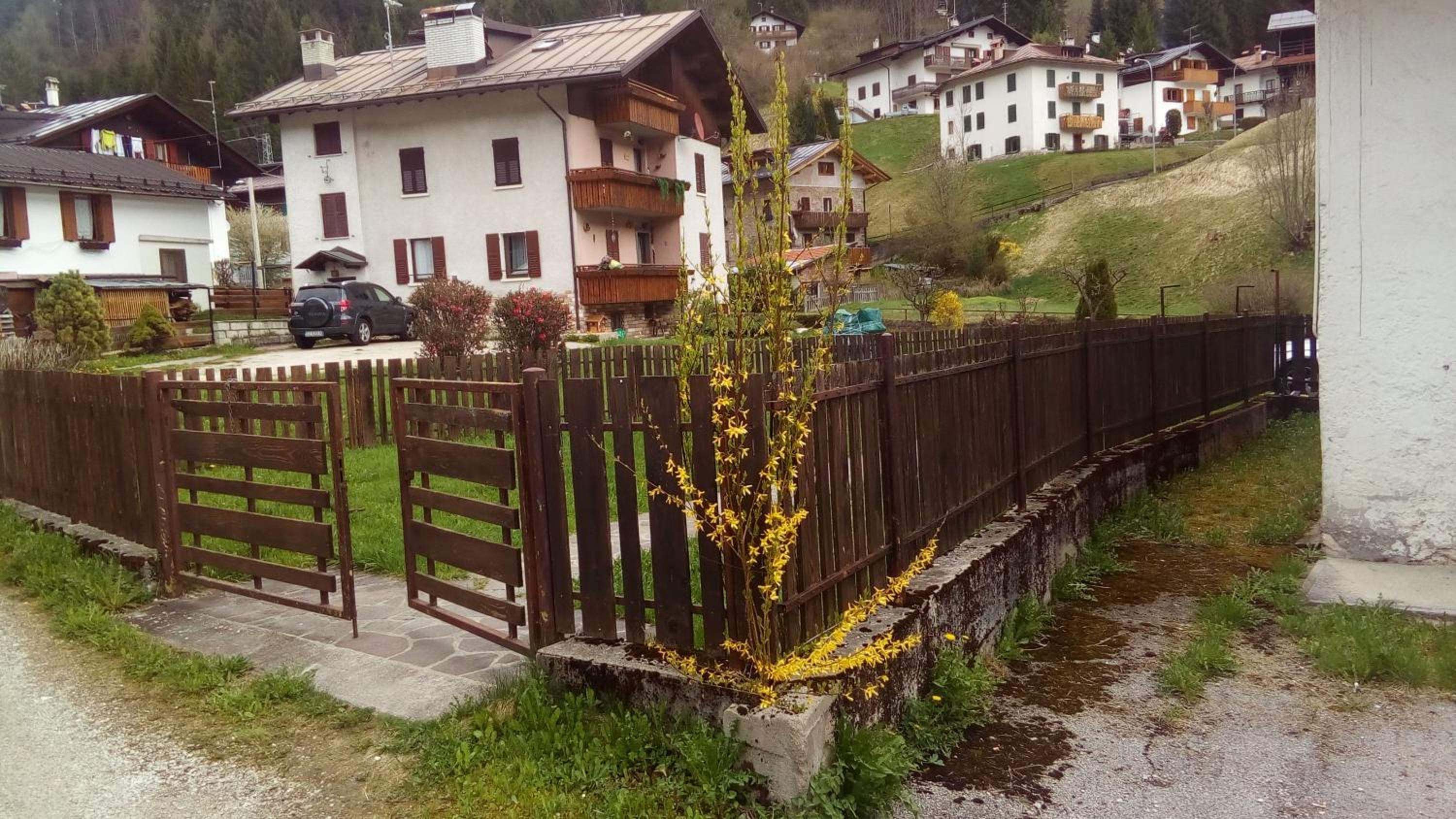 Photo 29
