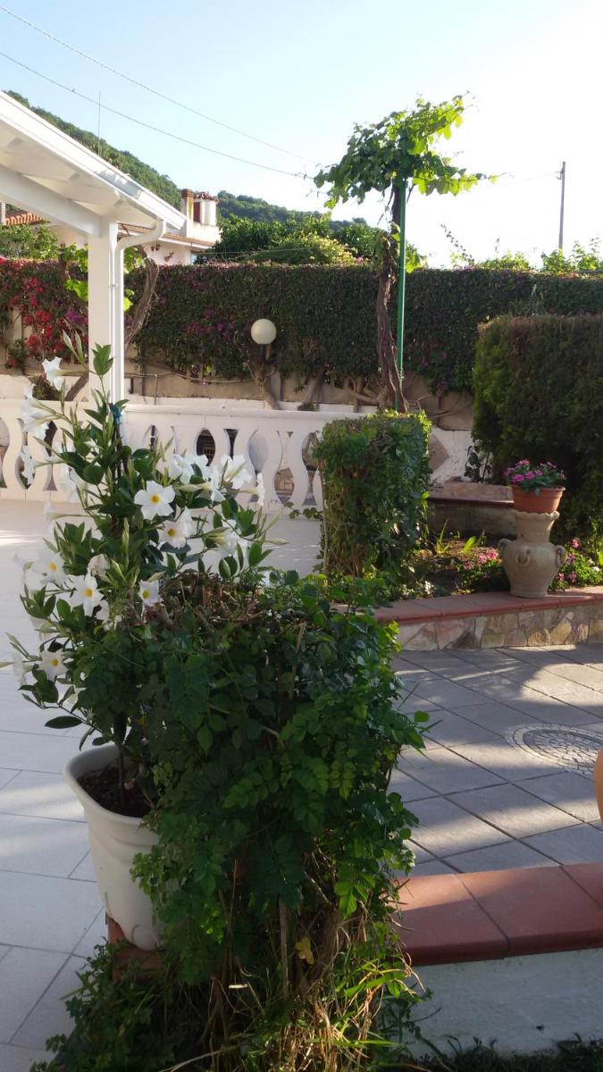 Photo 37