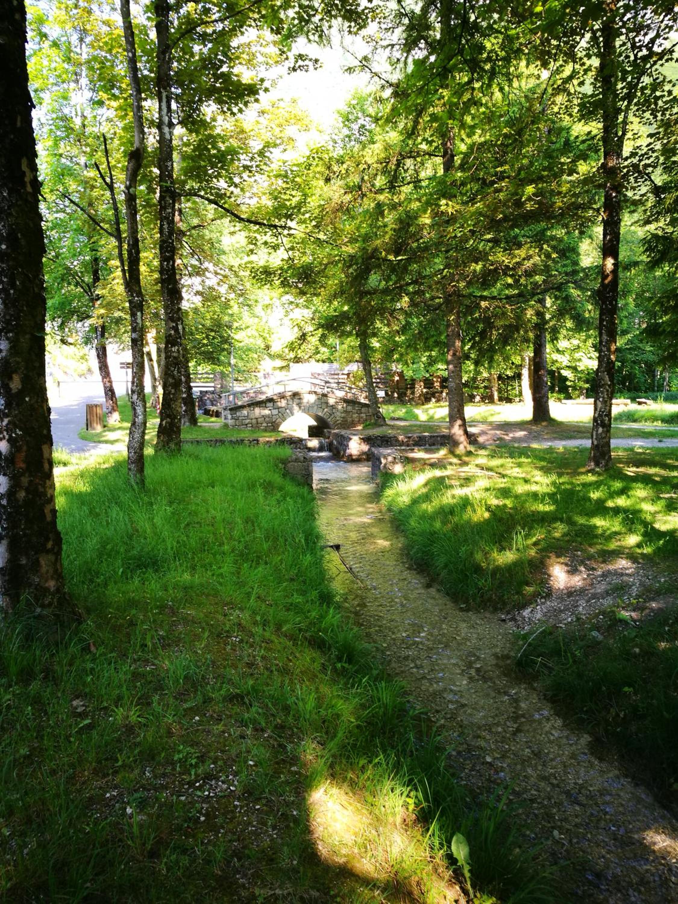 Photo 26