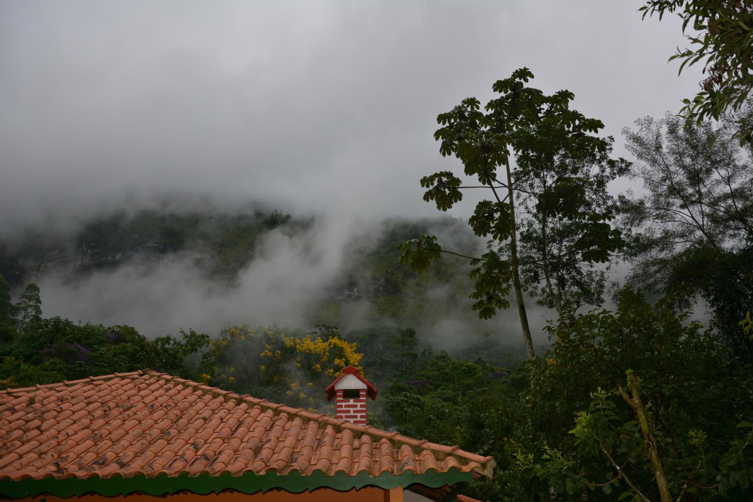 Pousada Ribeirao da Floresta view 2