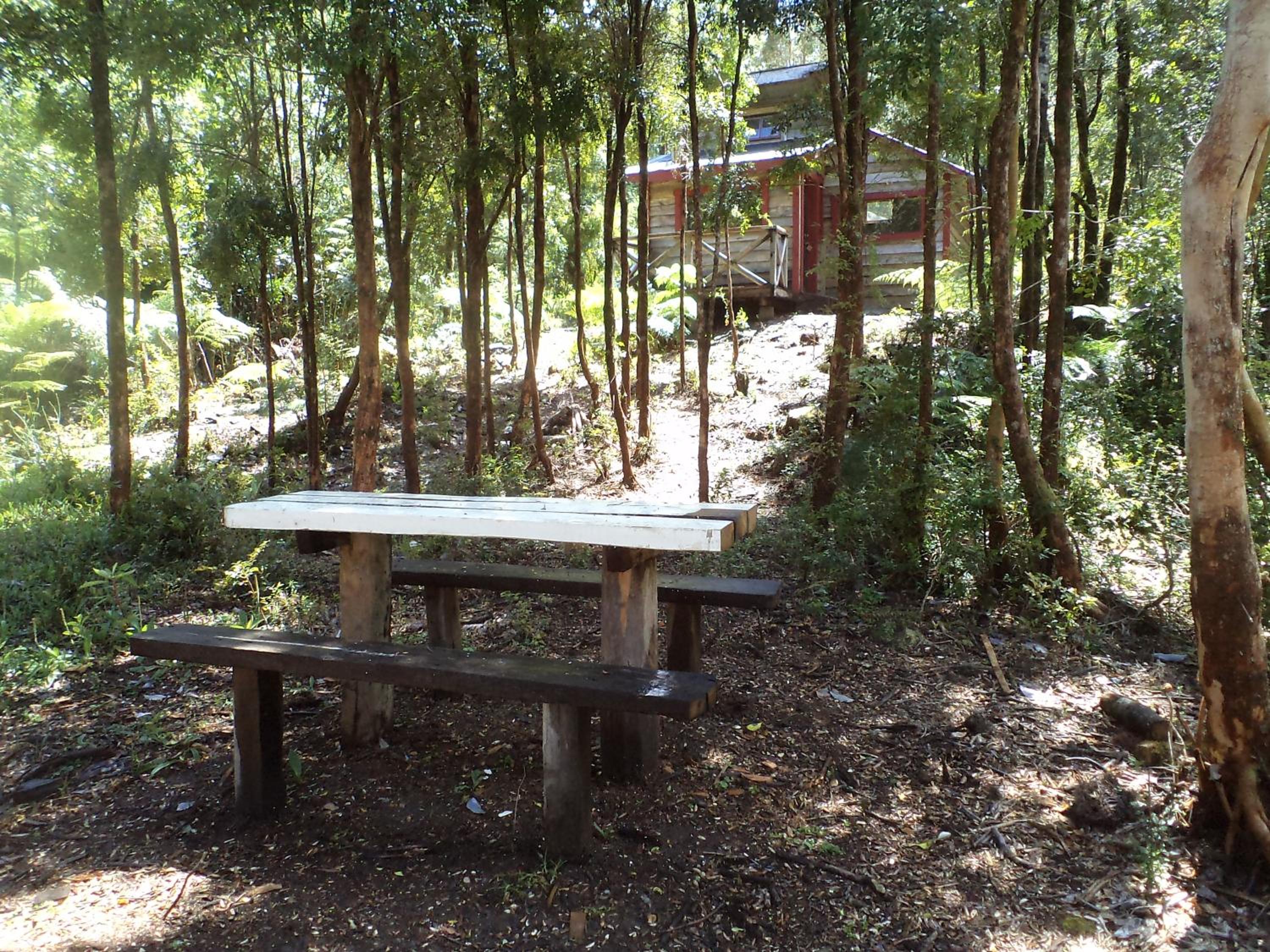 Photo 7