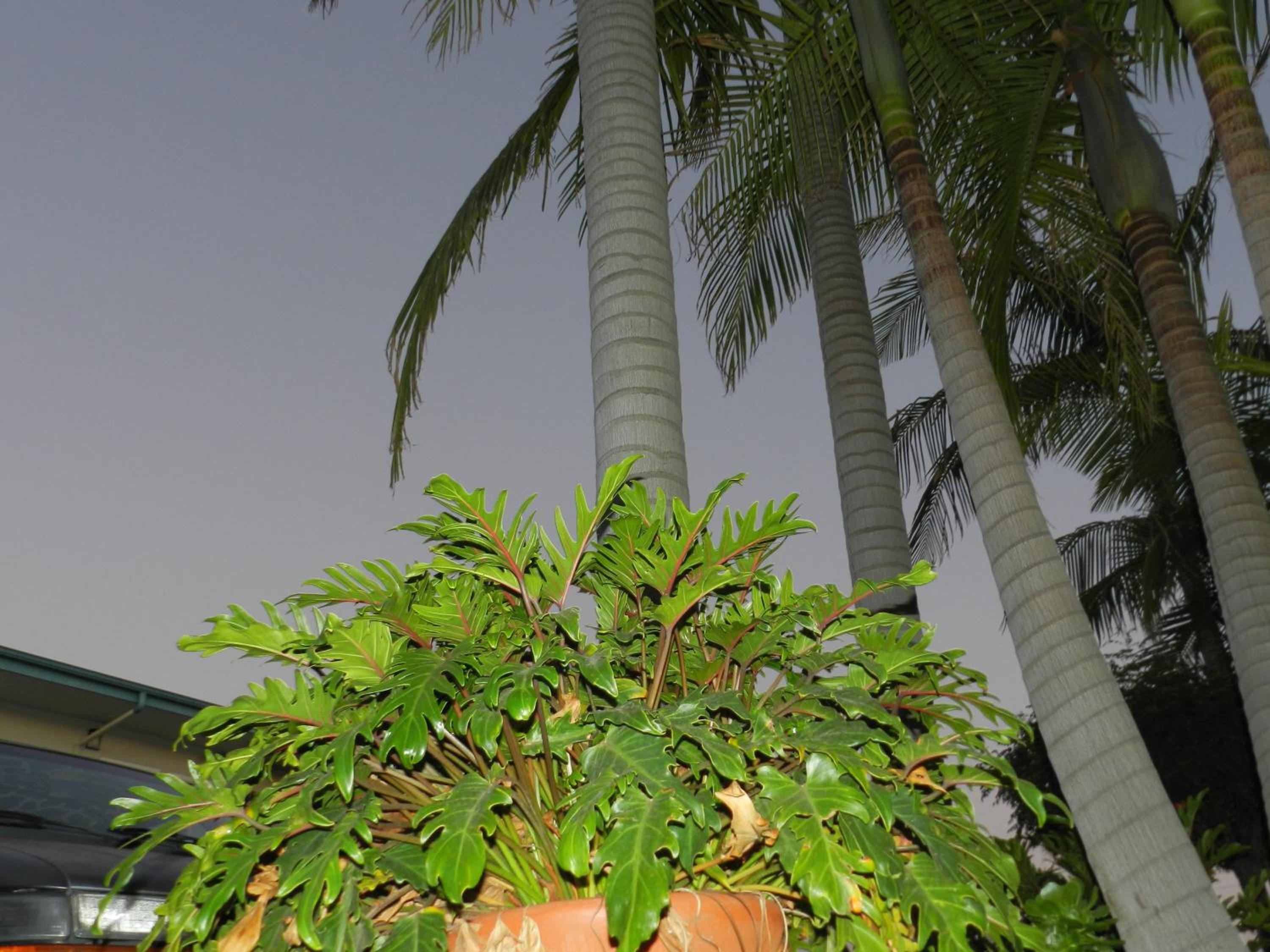Photo 24