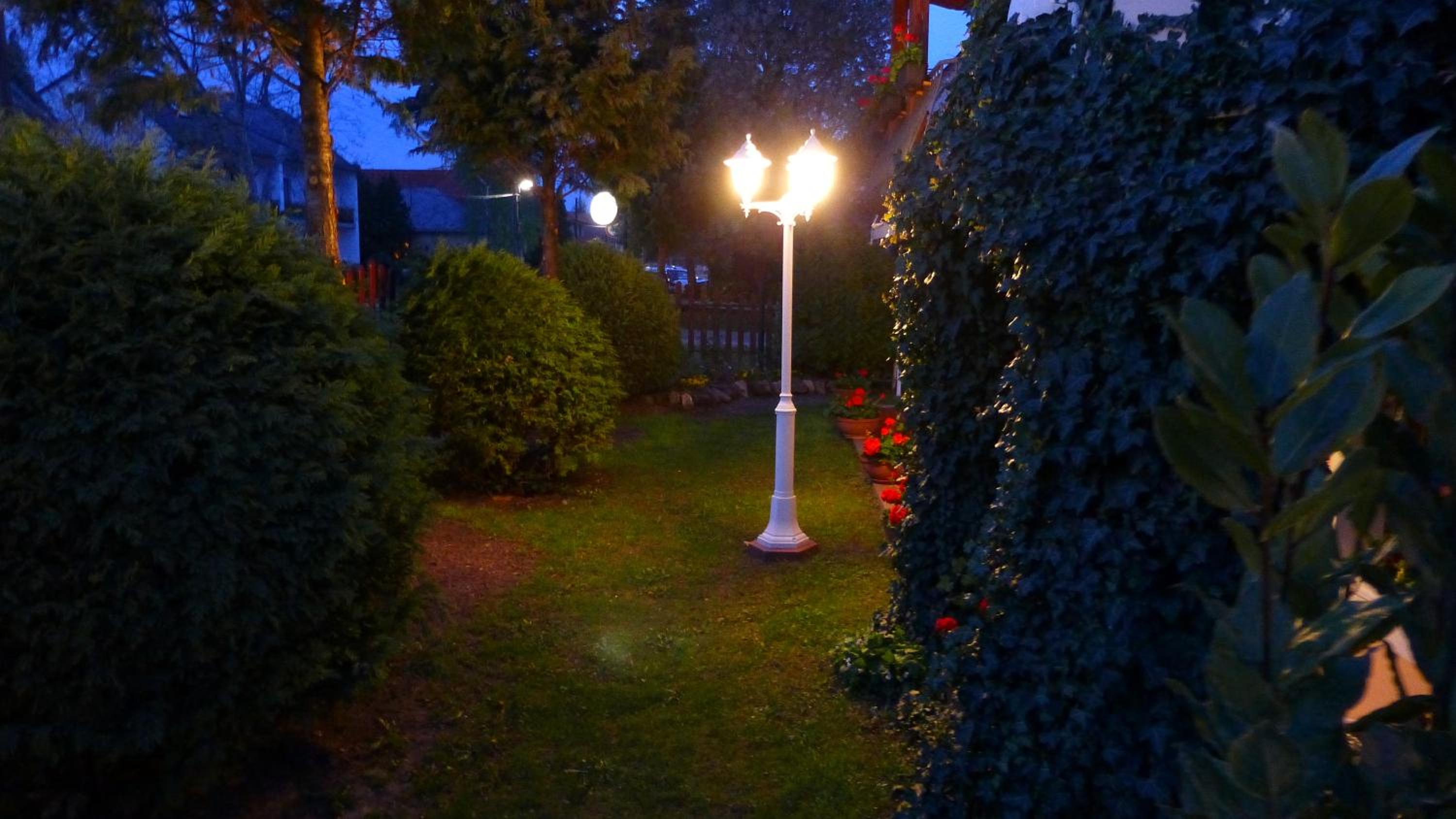 Photo 32