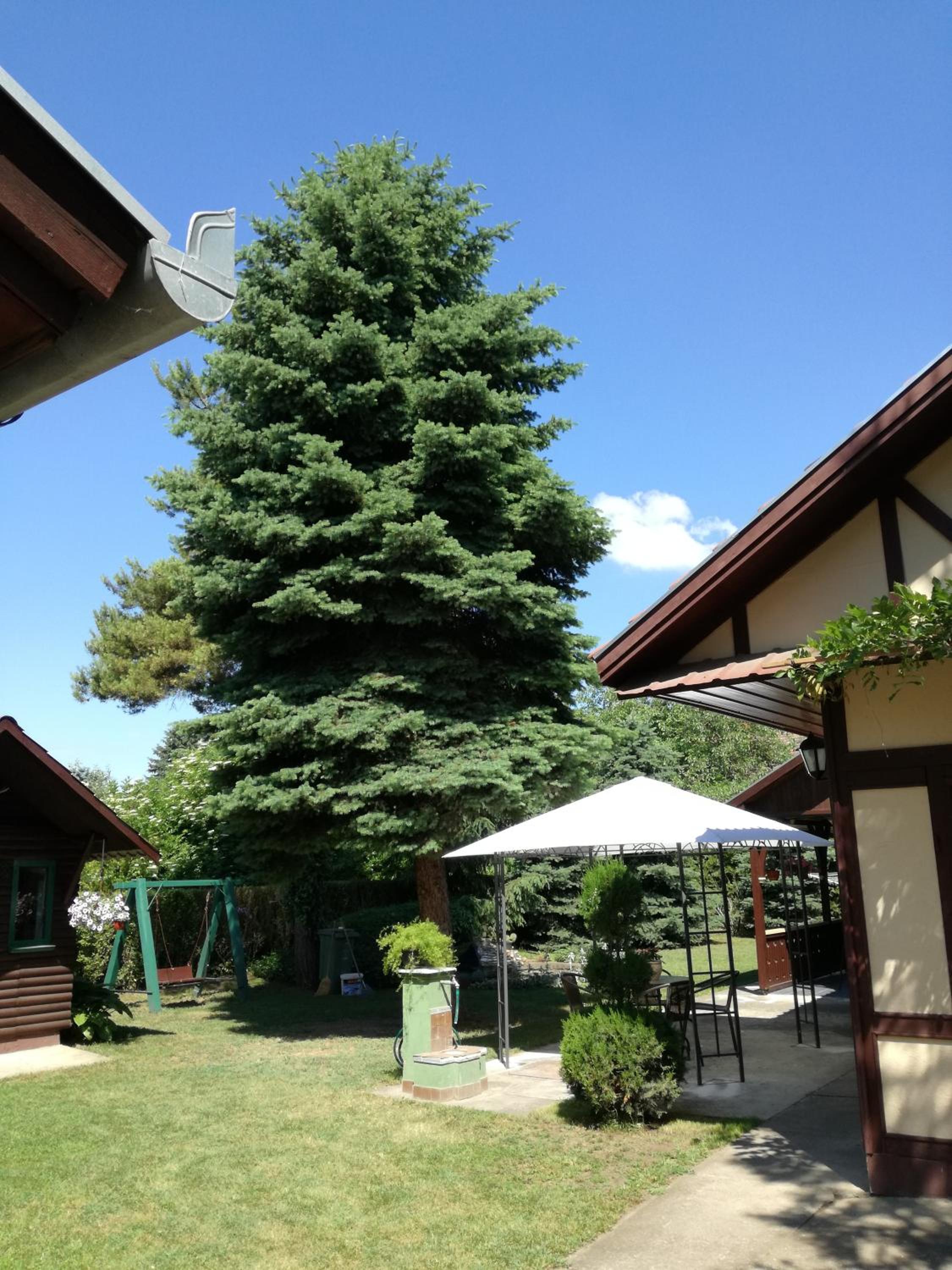 Stara Breza 1 Rooms