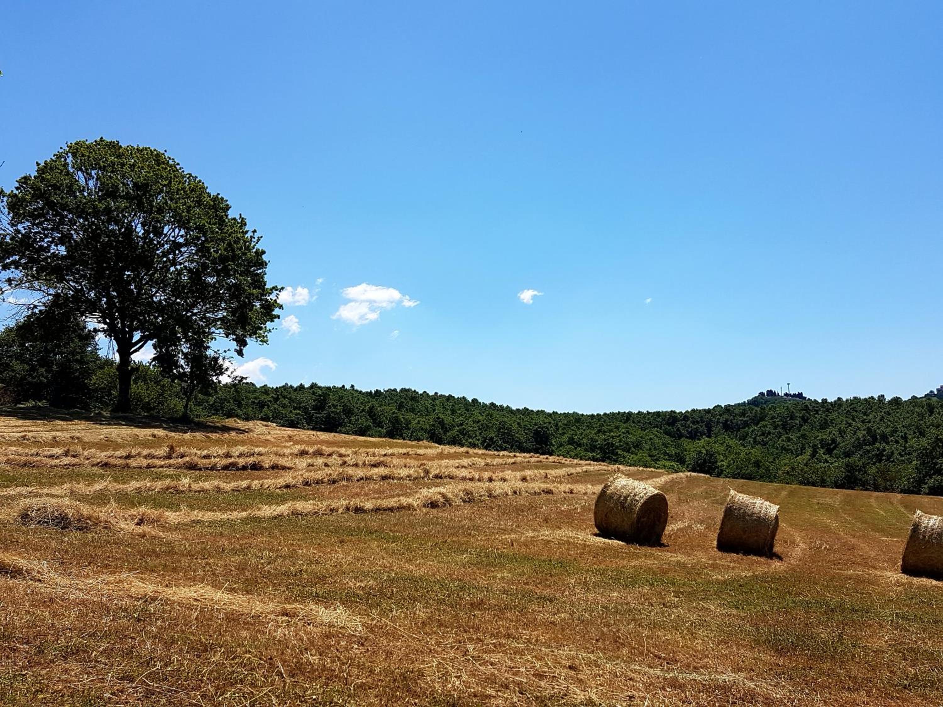Agriturismo Cisogna