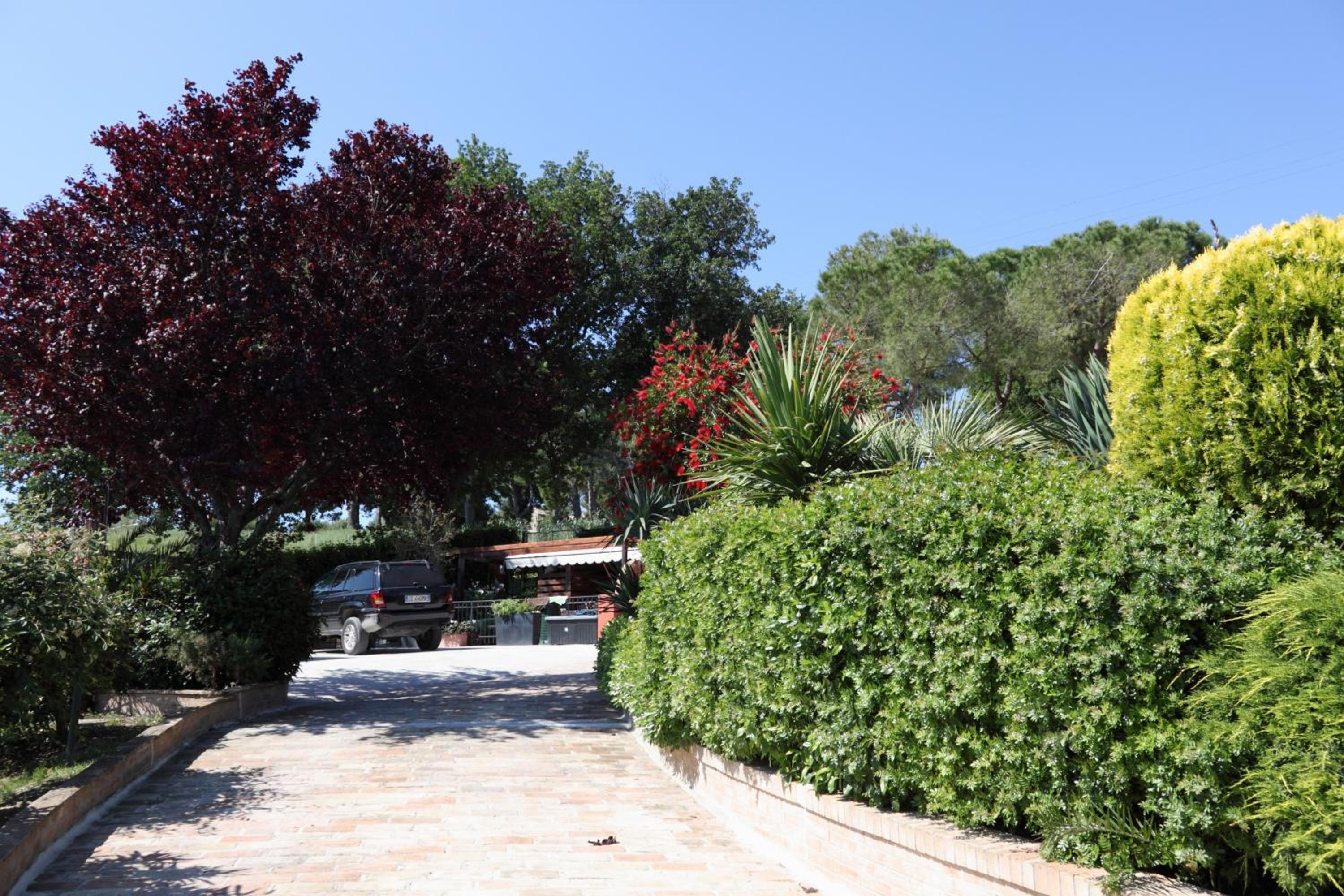 Photo 20