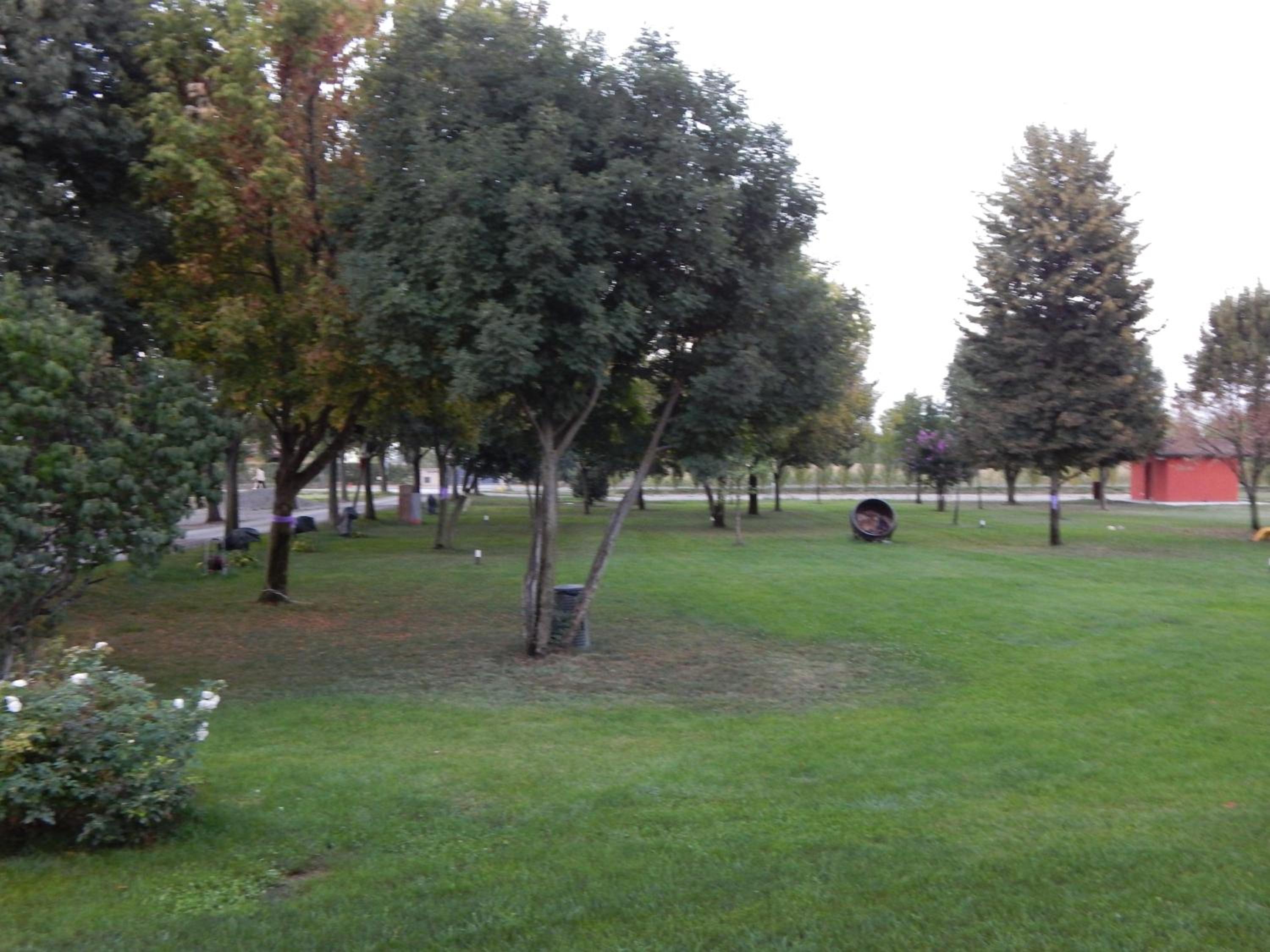 Agriturismo Battibue view 4