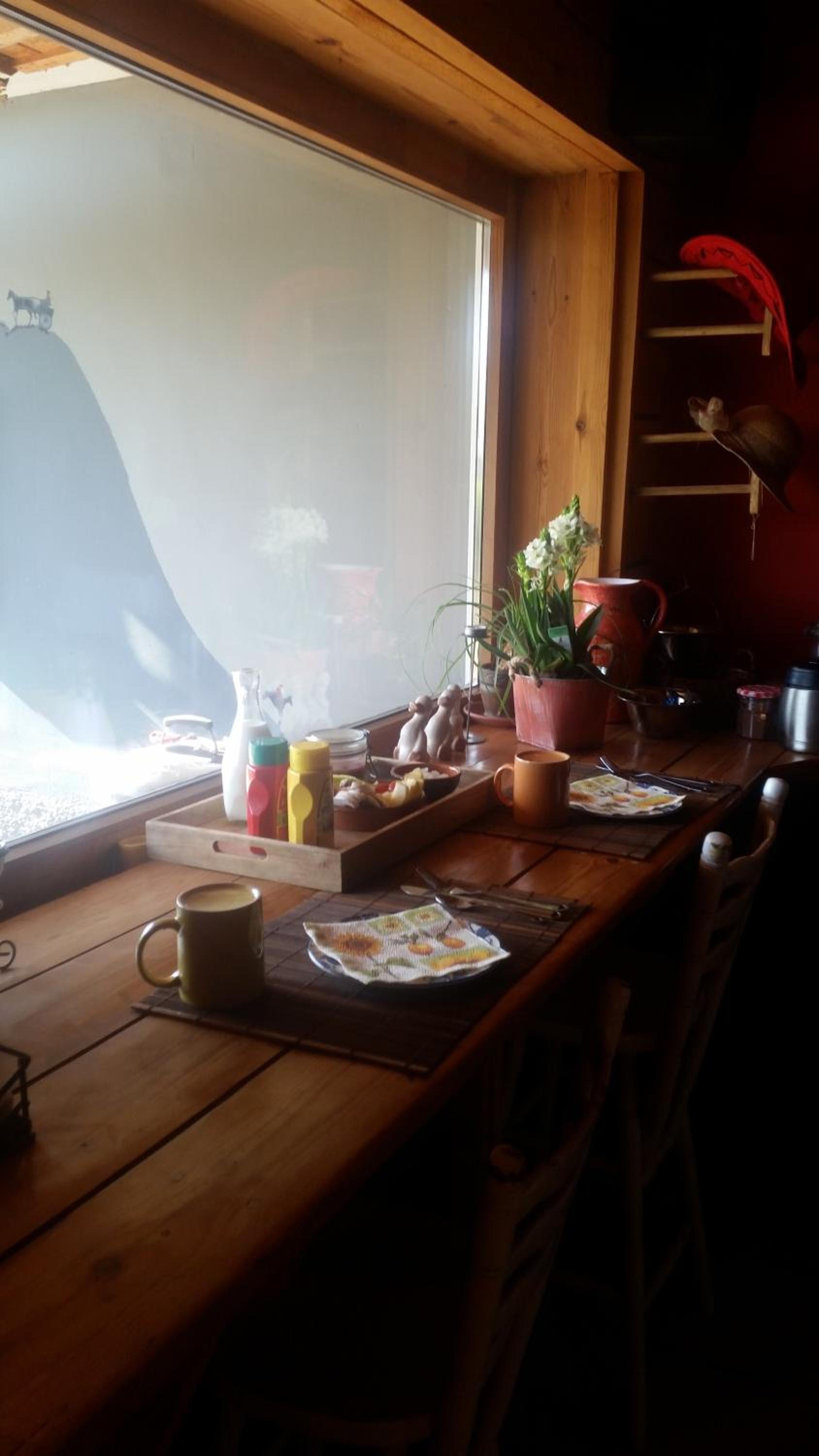 Photo 43