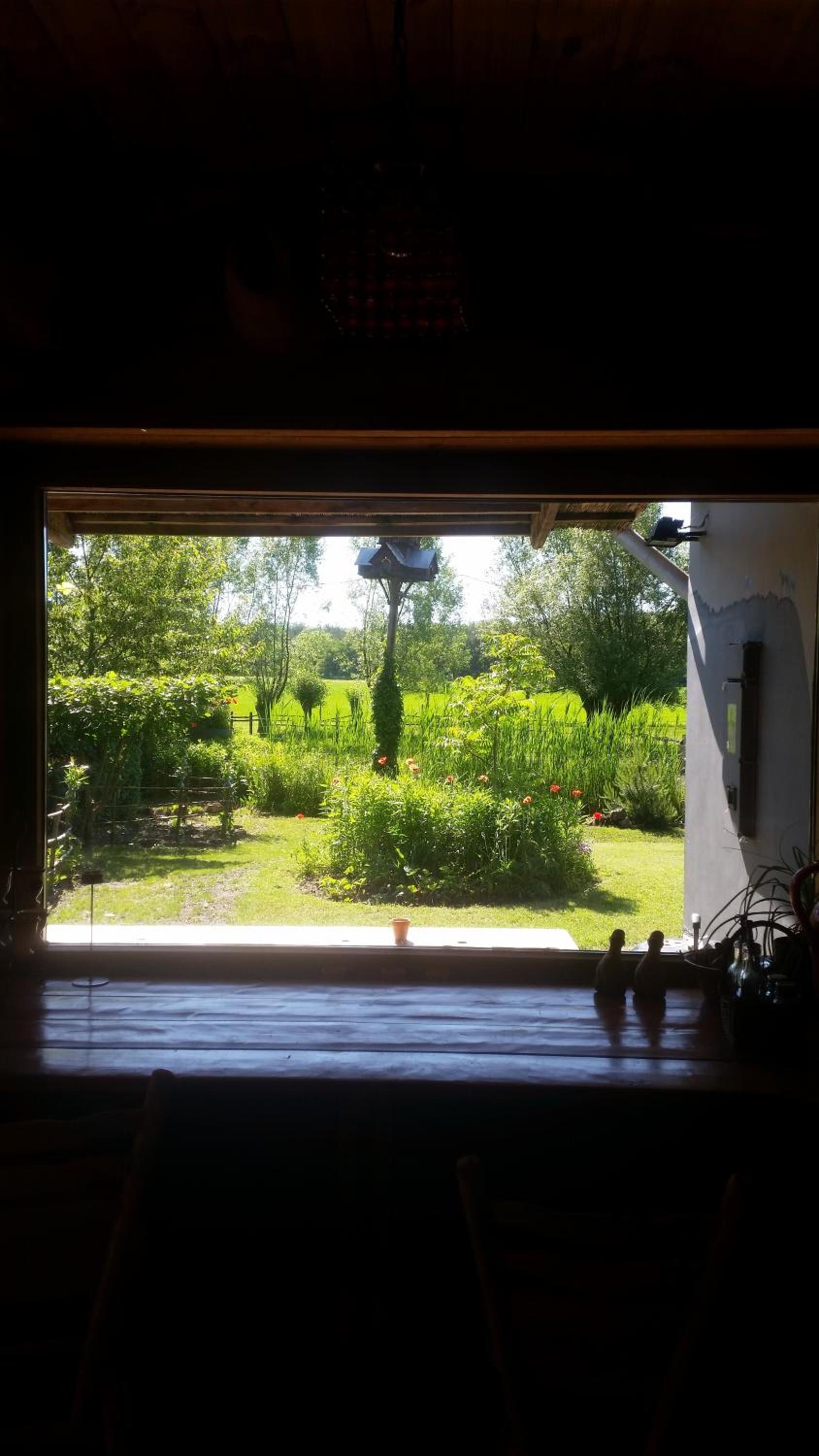 Photo 42