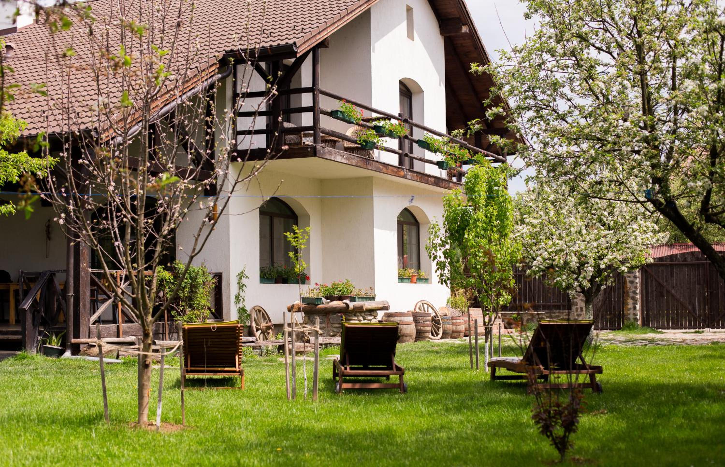 Casa Mosului - Transfăgărășan Bed & Breakfast view 3