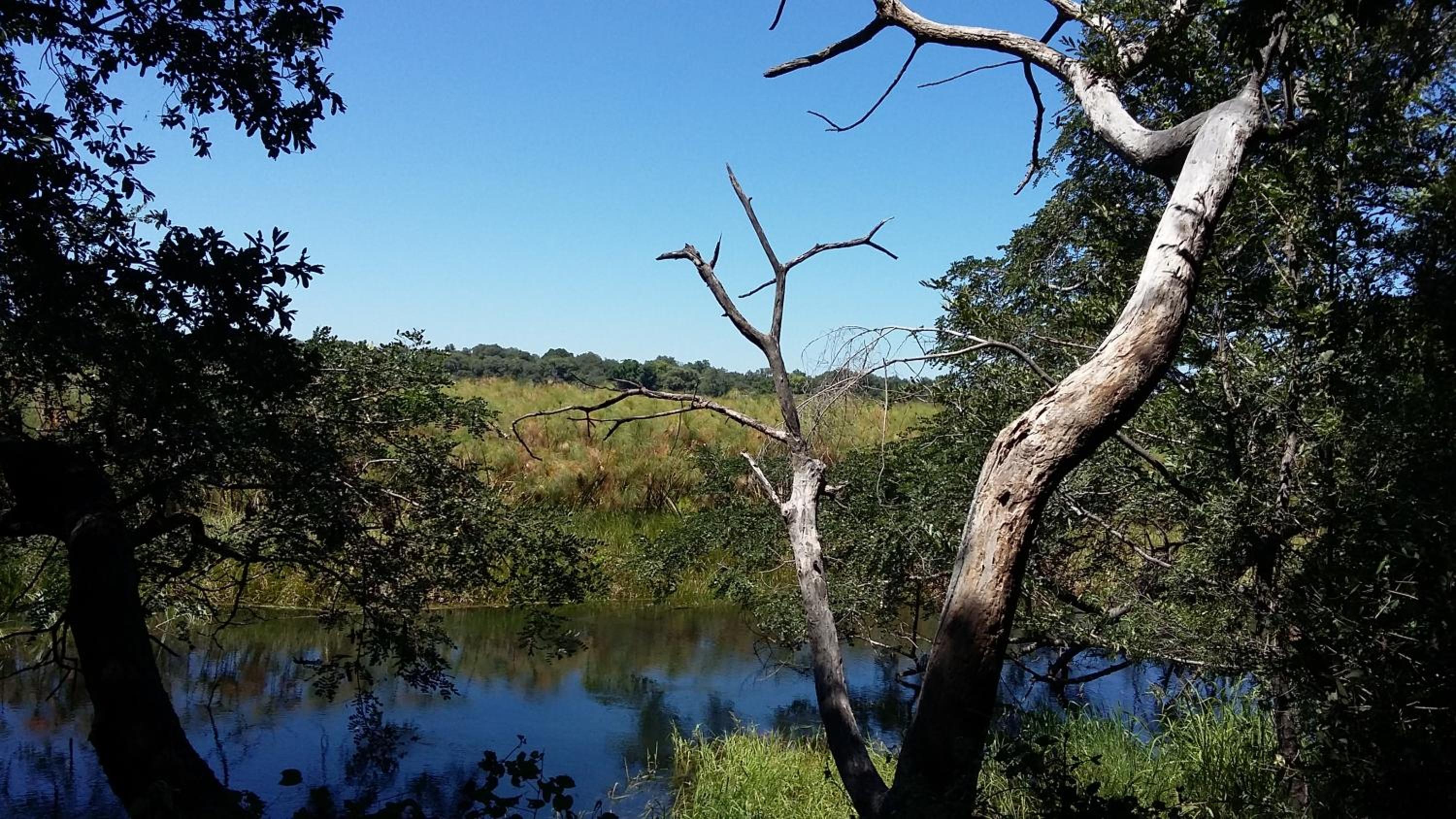 ASKIESBOS - Samochima Bush Camp