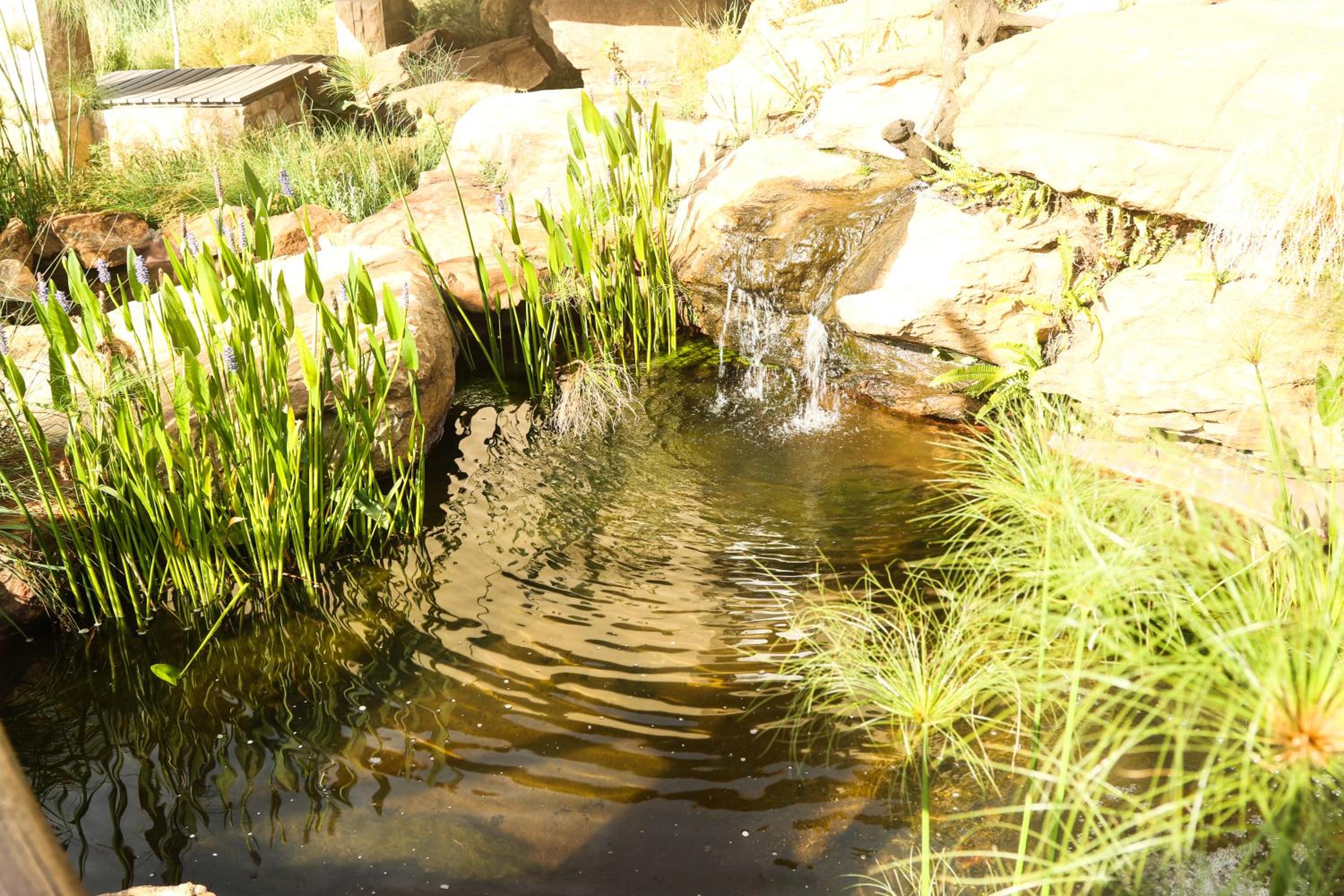 Photo 25