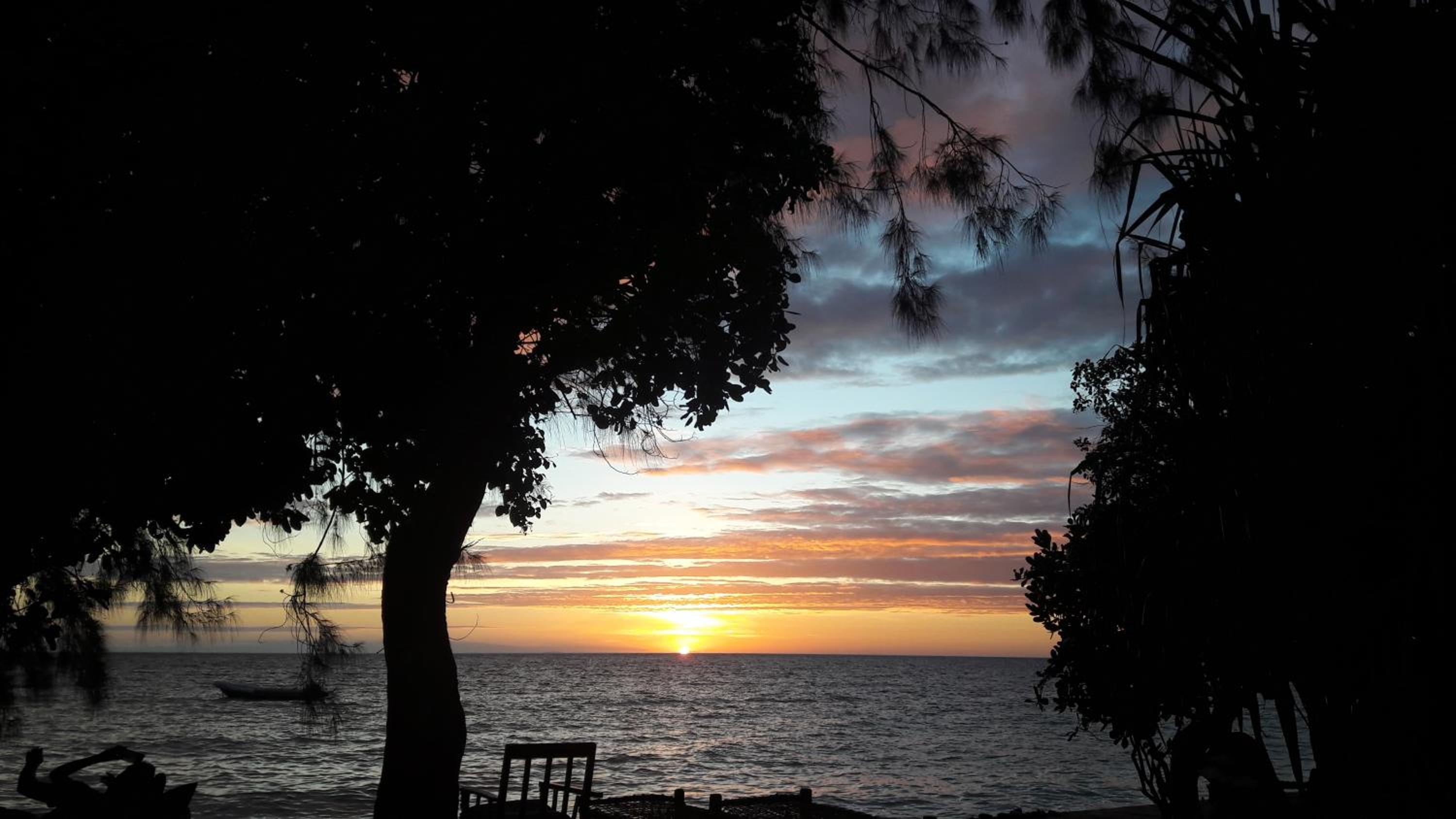 Gecko Nature Lodge Home of Swahili Divers the BEST dive center and Famous Gecko Restaurant