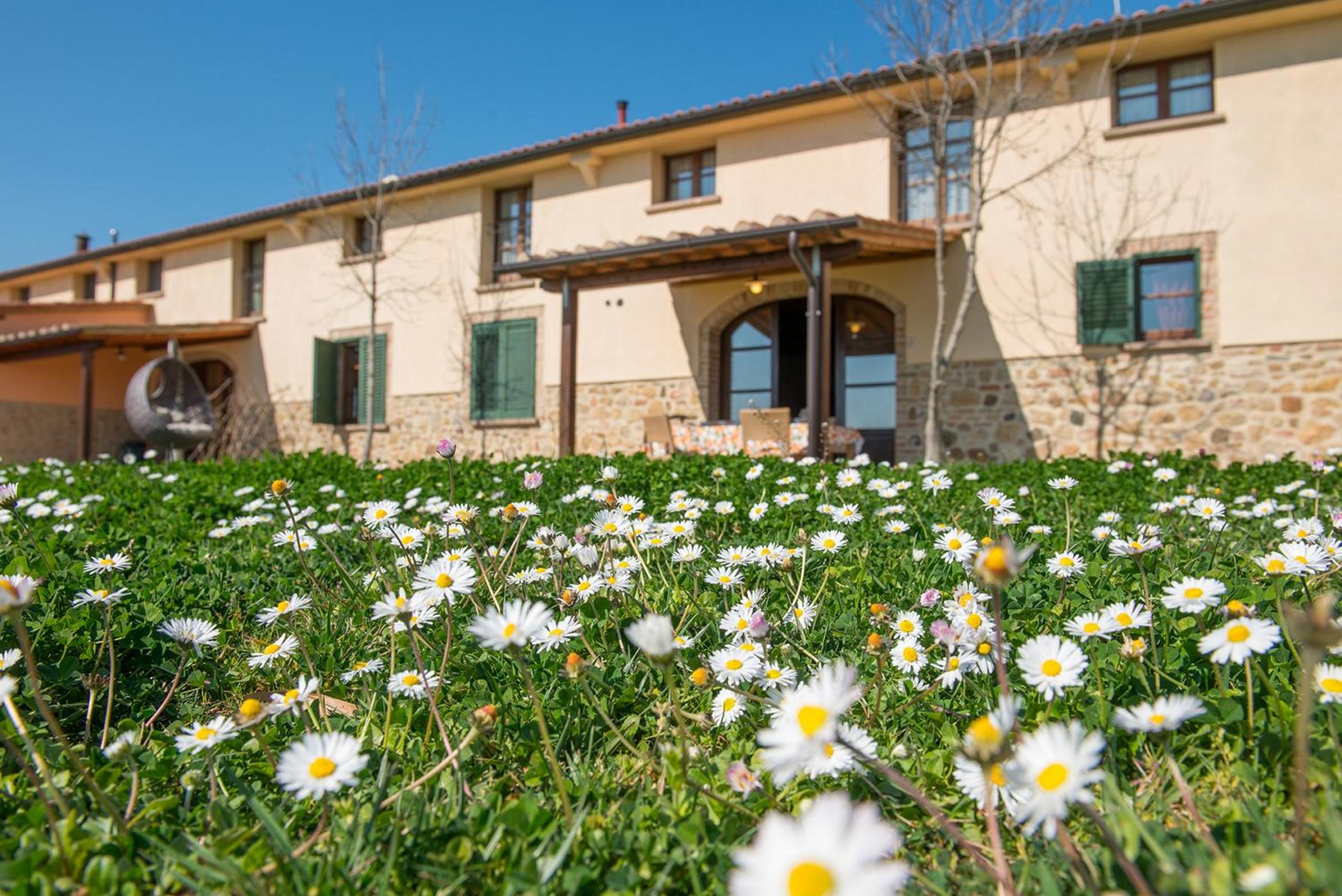 Agriturismo Biologico Diacceroni view 3
