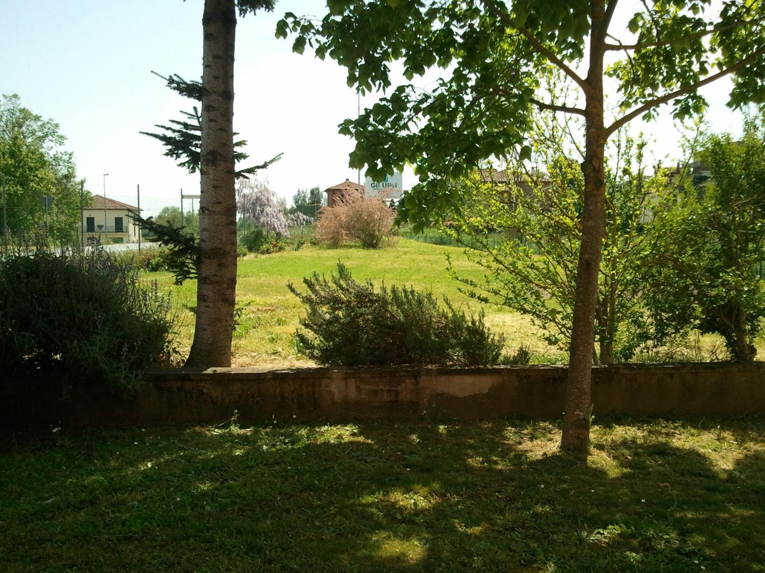 Photo 35