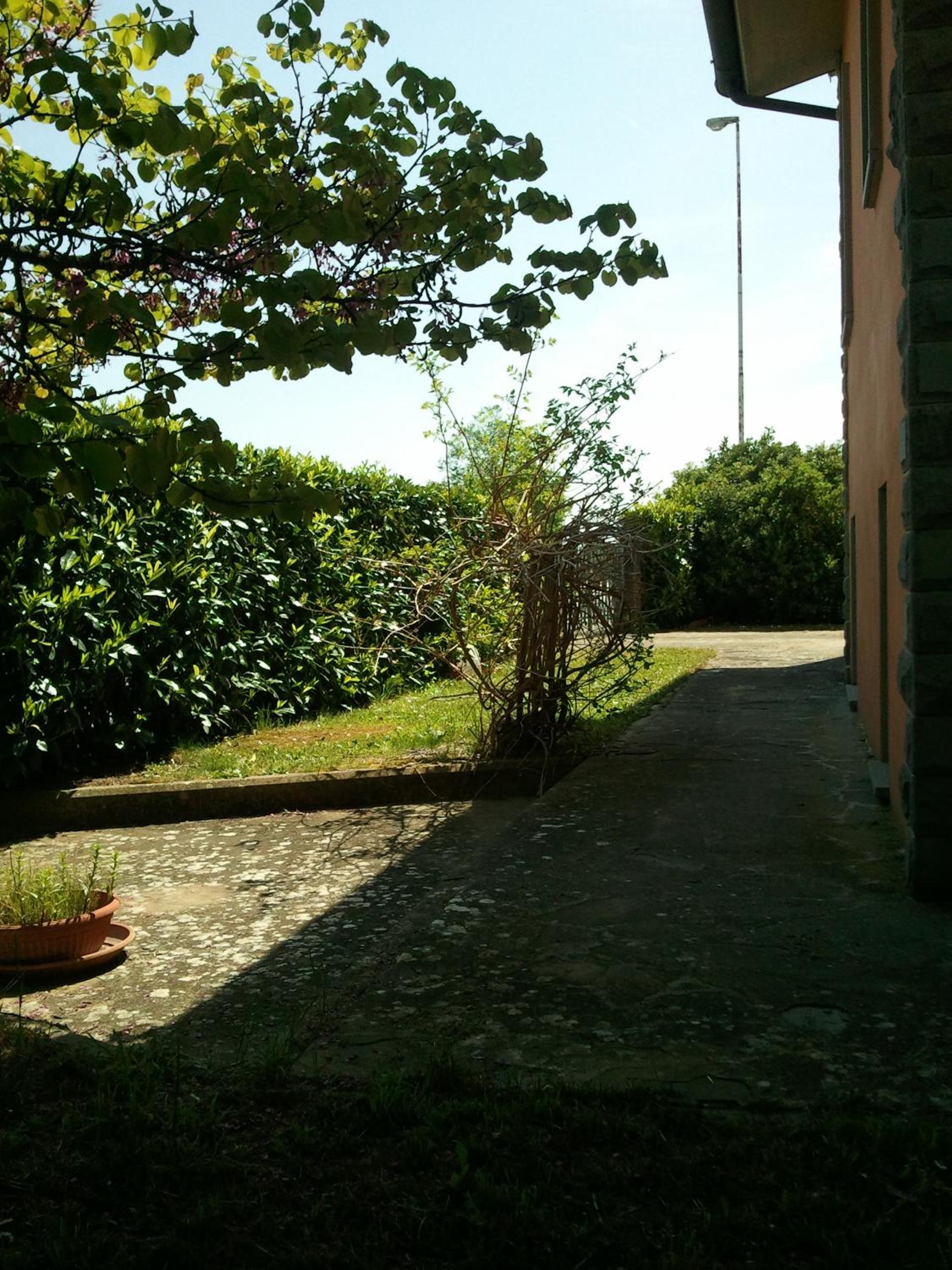 Photo 34