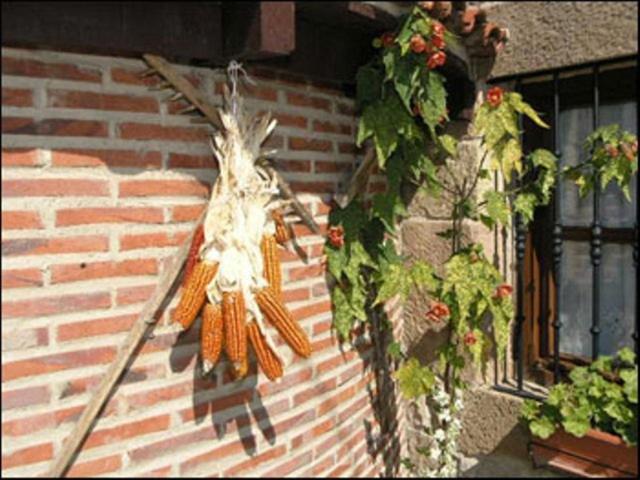 Photo 36
