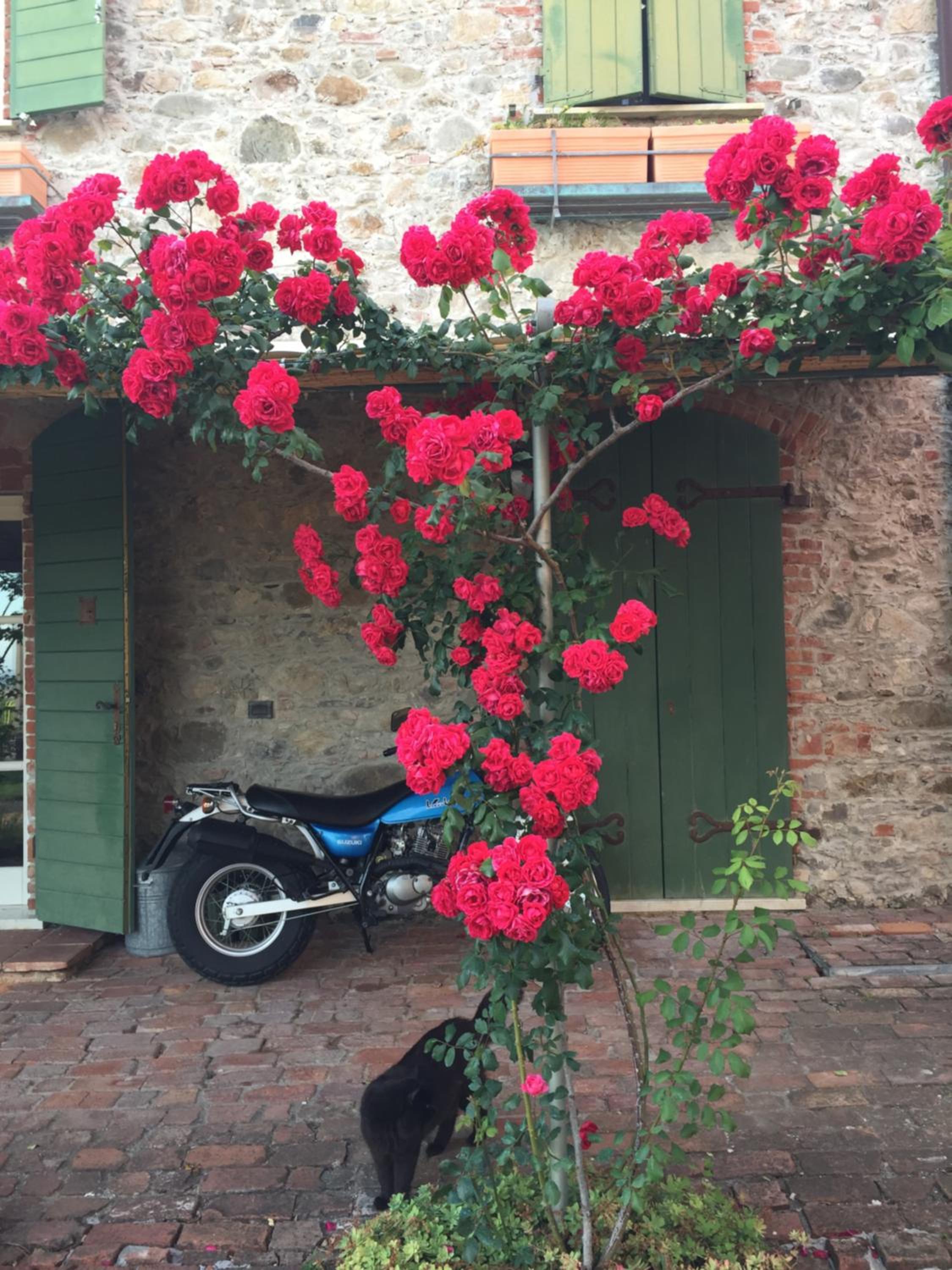 Il Giardino delle Esperidi