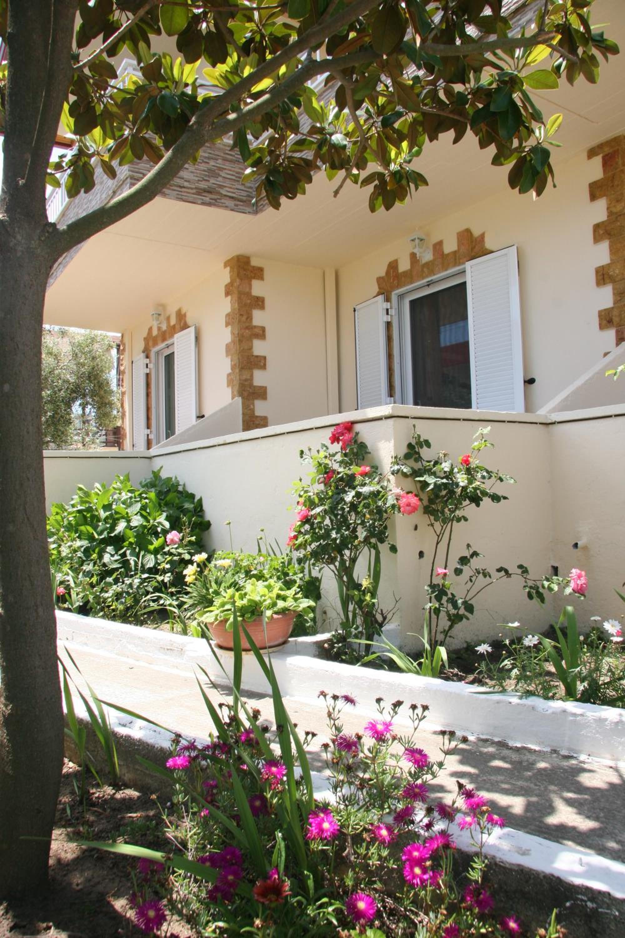 Photo 21