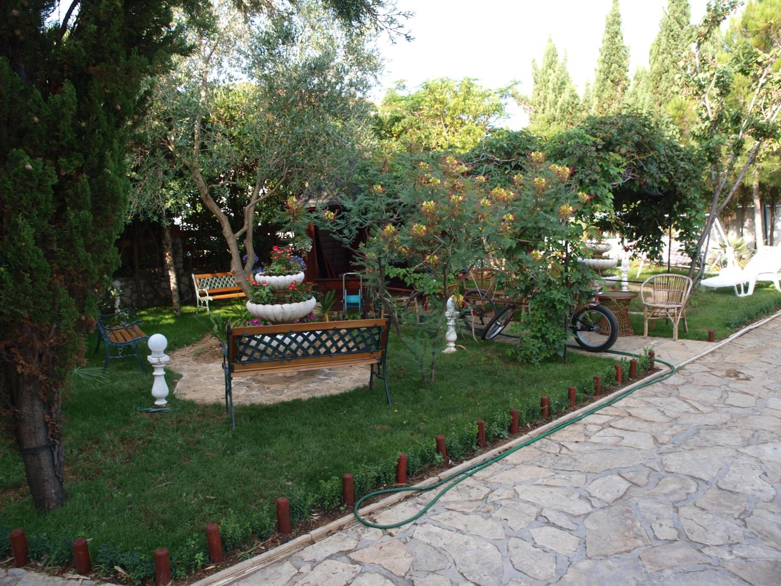 Photo 18