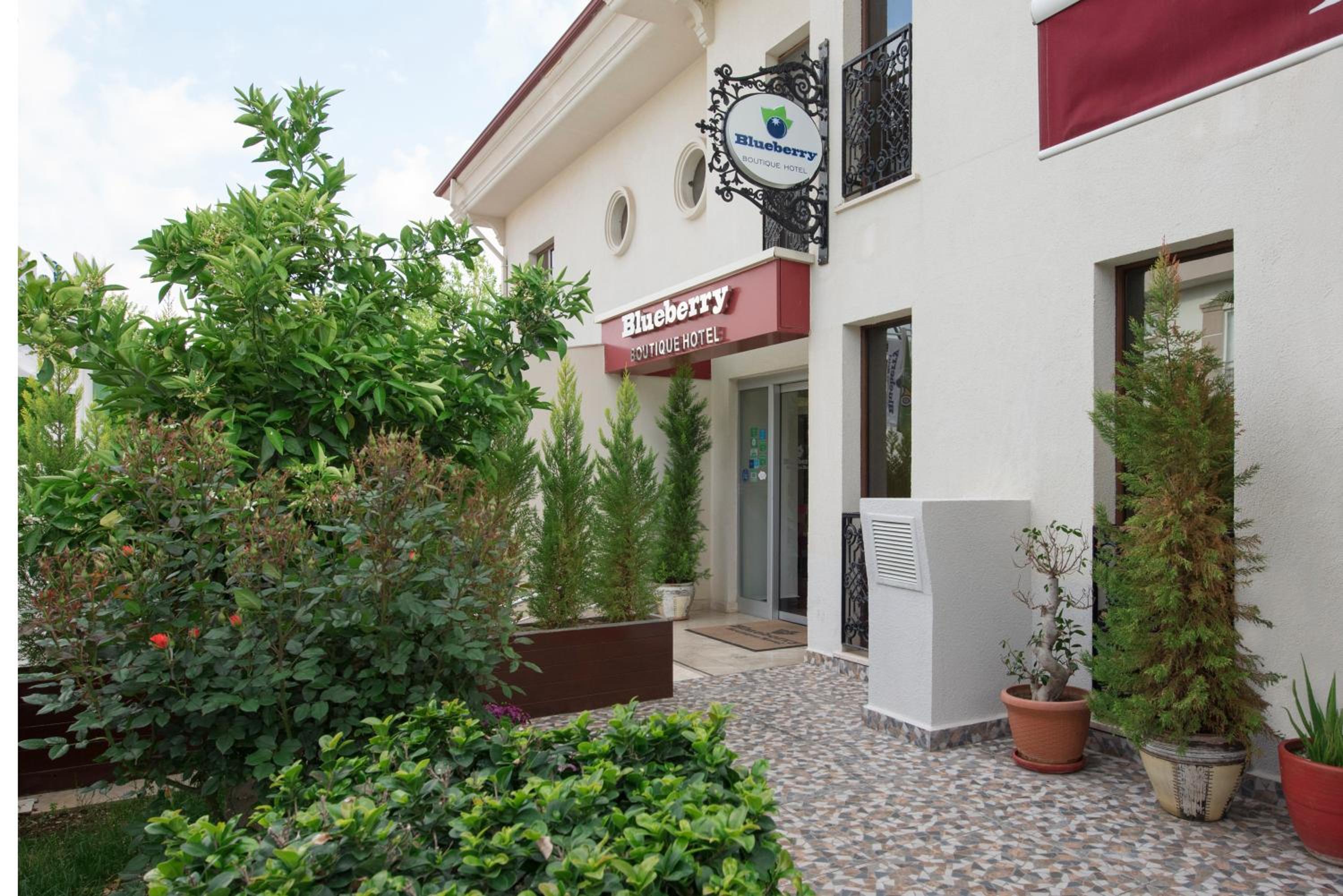 Blueberry Butik Otel - Image 7
