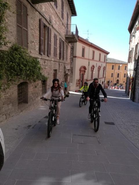 Photo 24