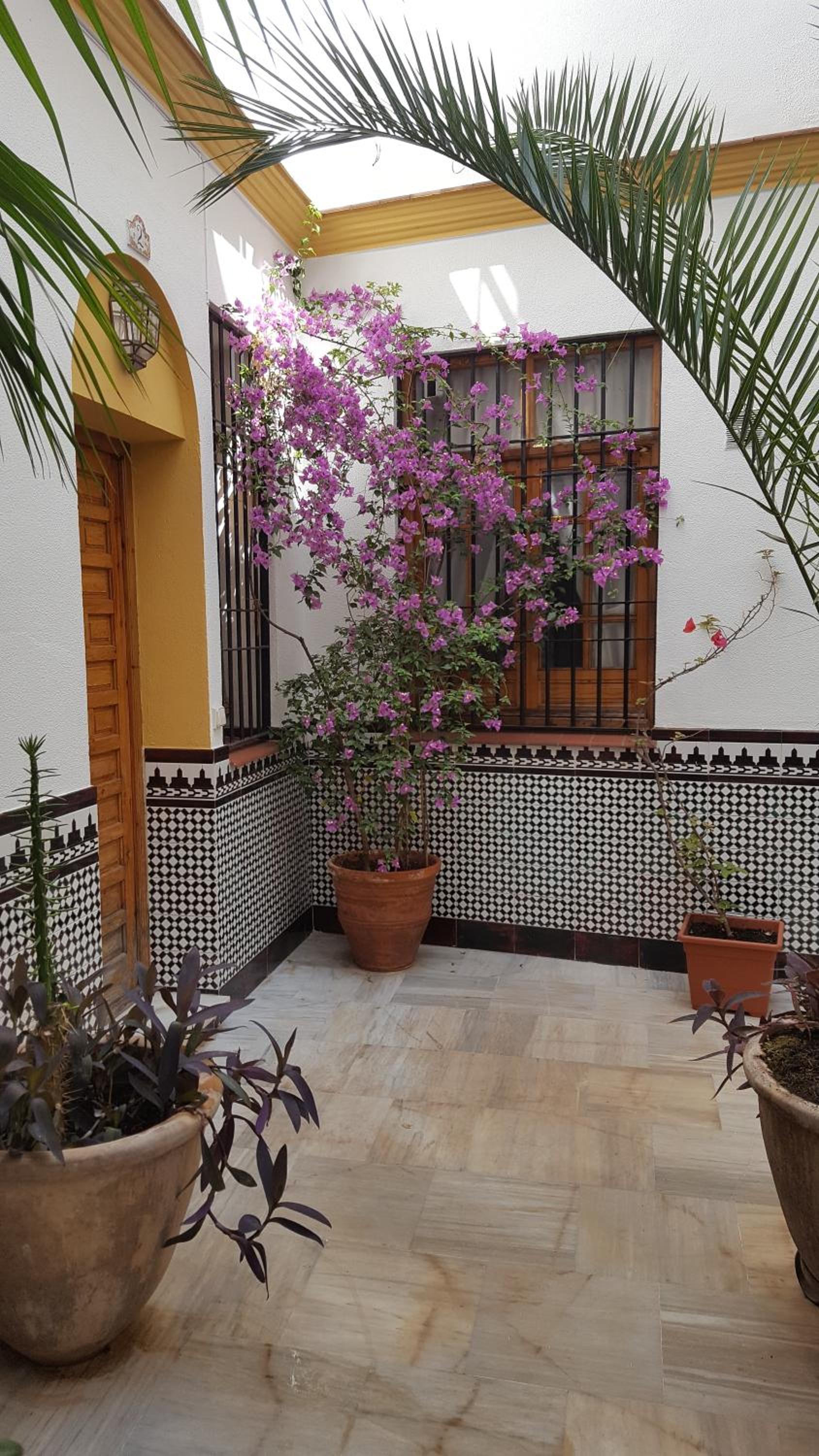 Casa Típica Cordobesa view 5