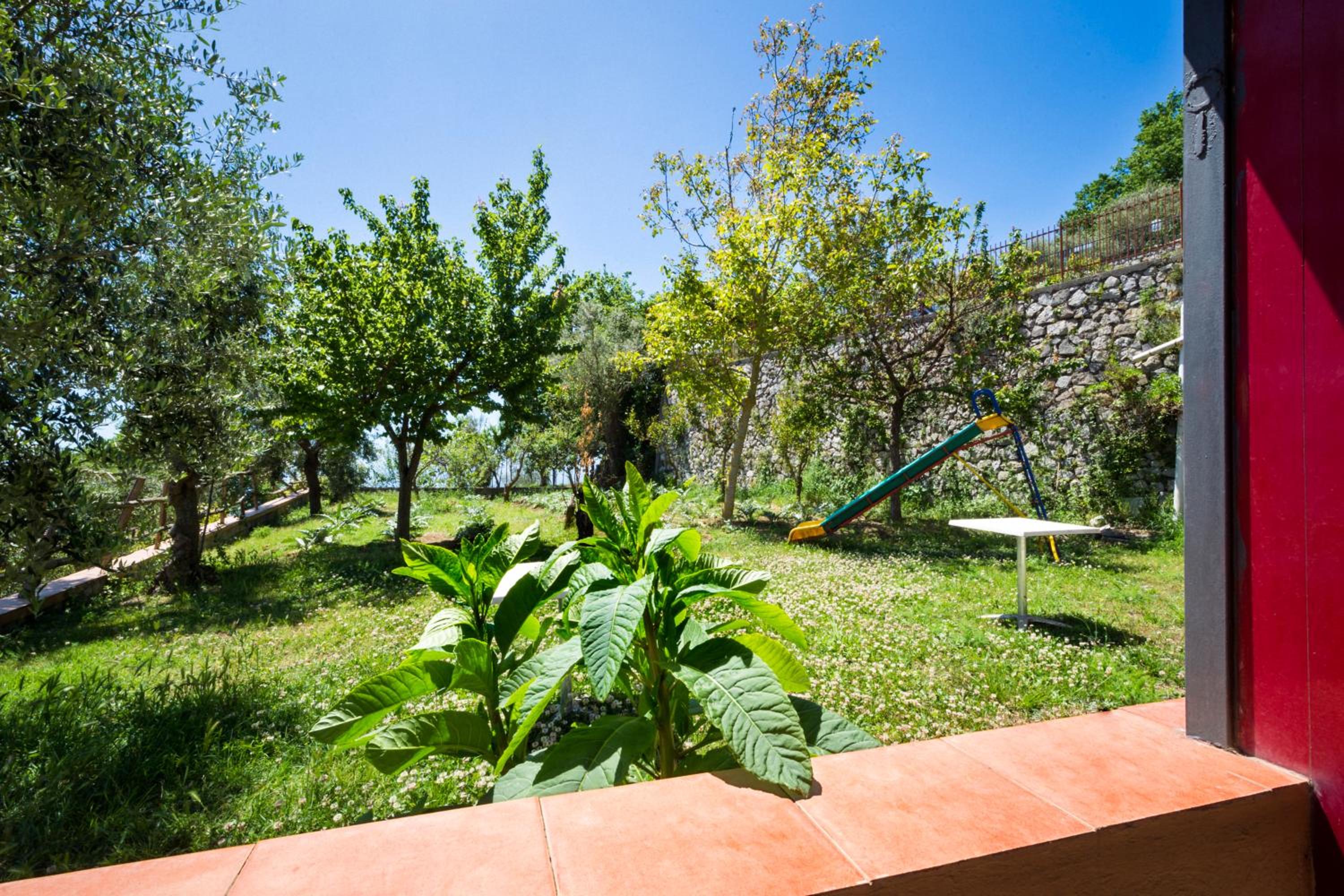 Agriturismo Fattoria Terranova