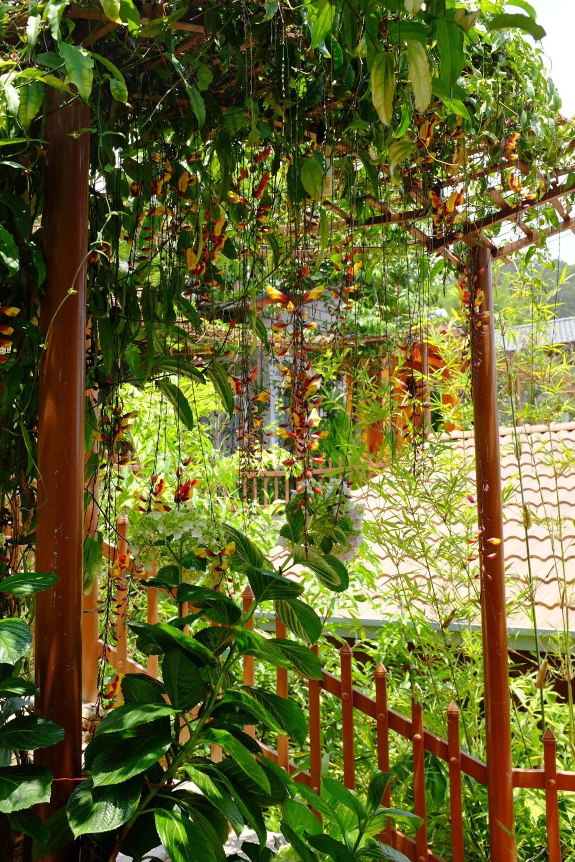 Zen Valley Dalat
