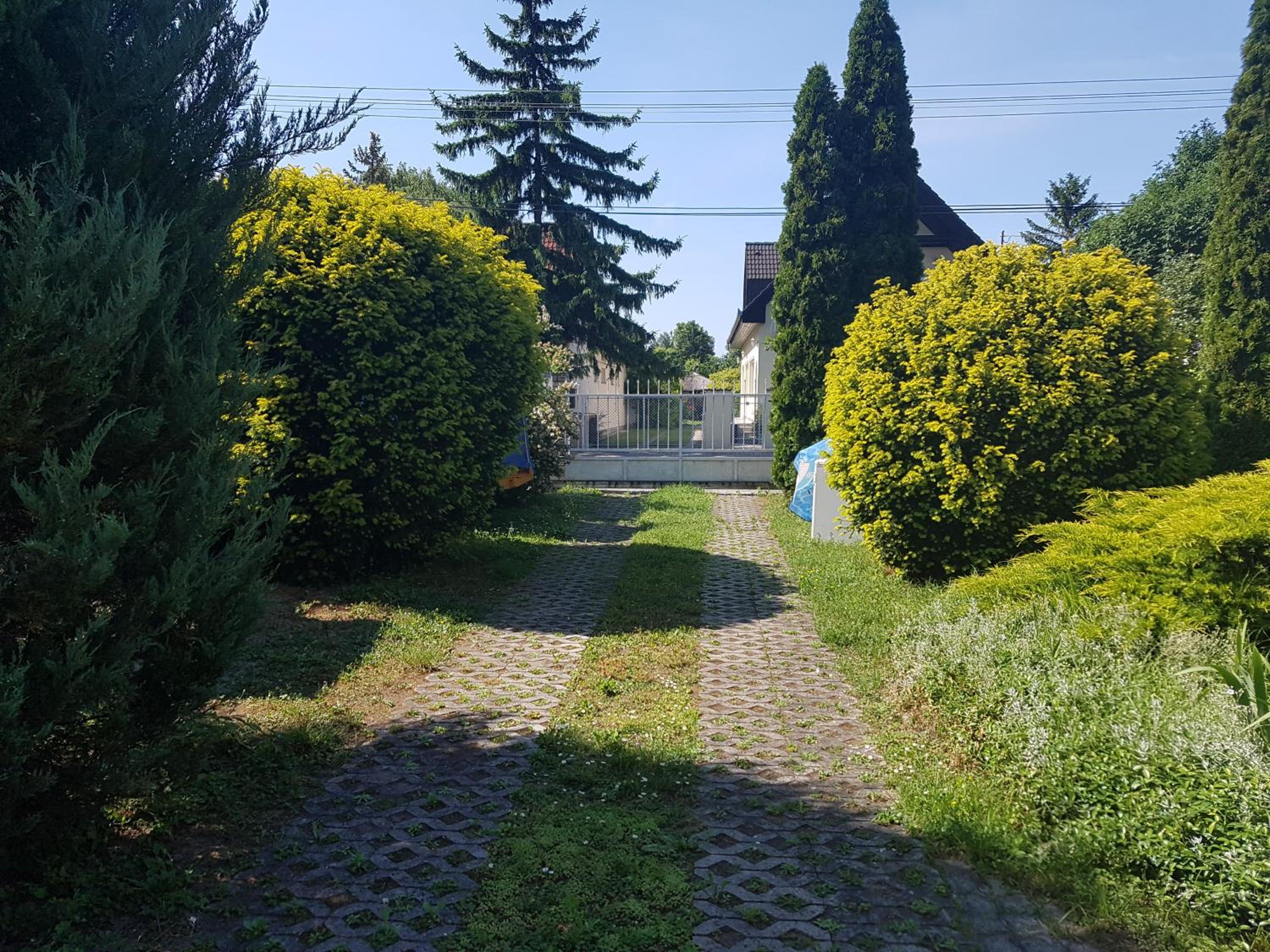 Photo 26