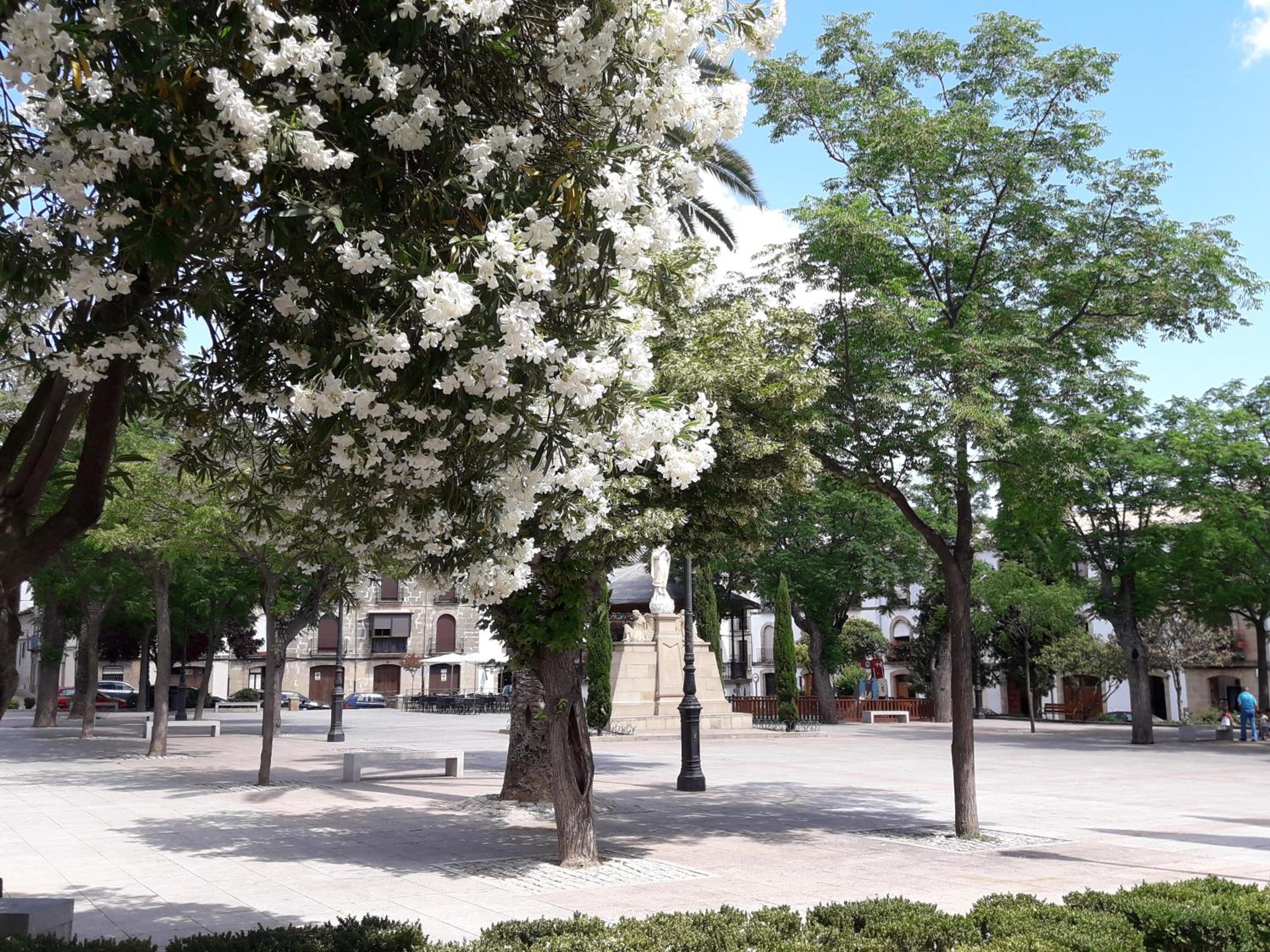 Apartamentos Sol de Mayo