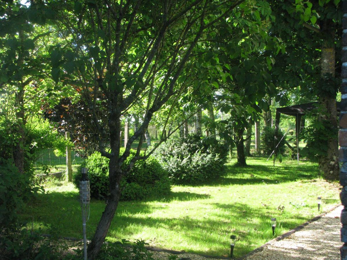 Tante Pim - Property Image 47