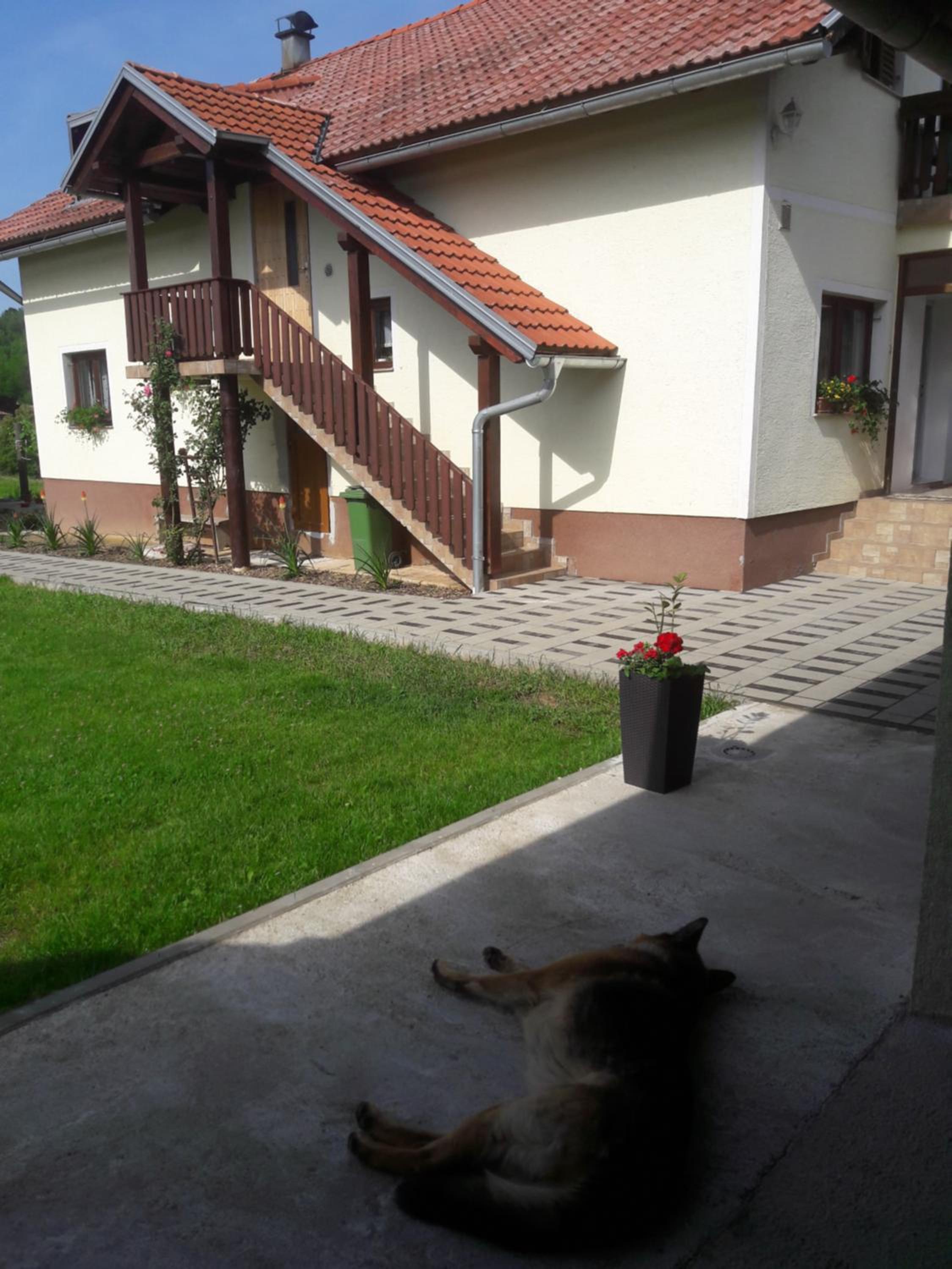 Photo 54