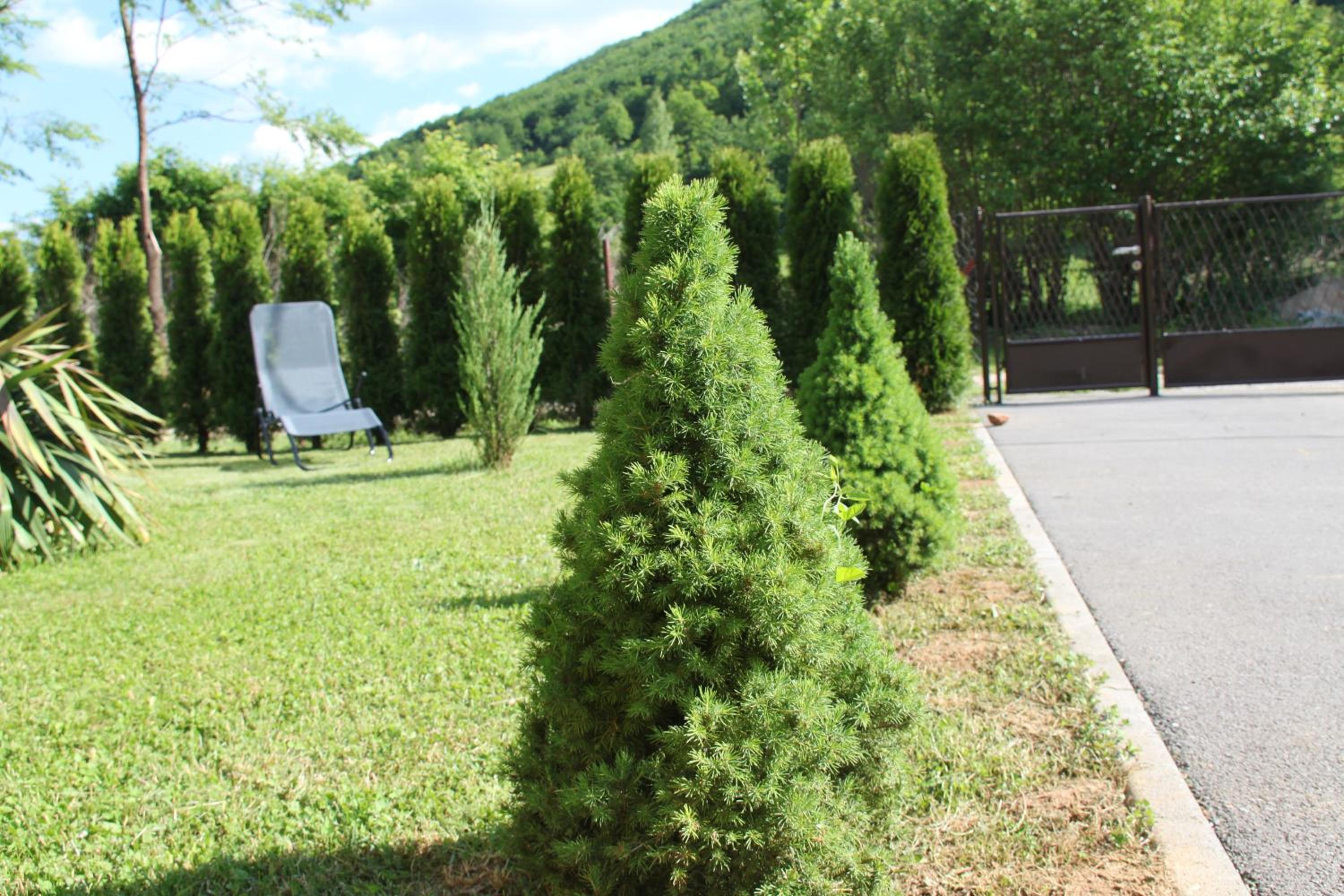Photo 22