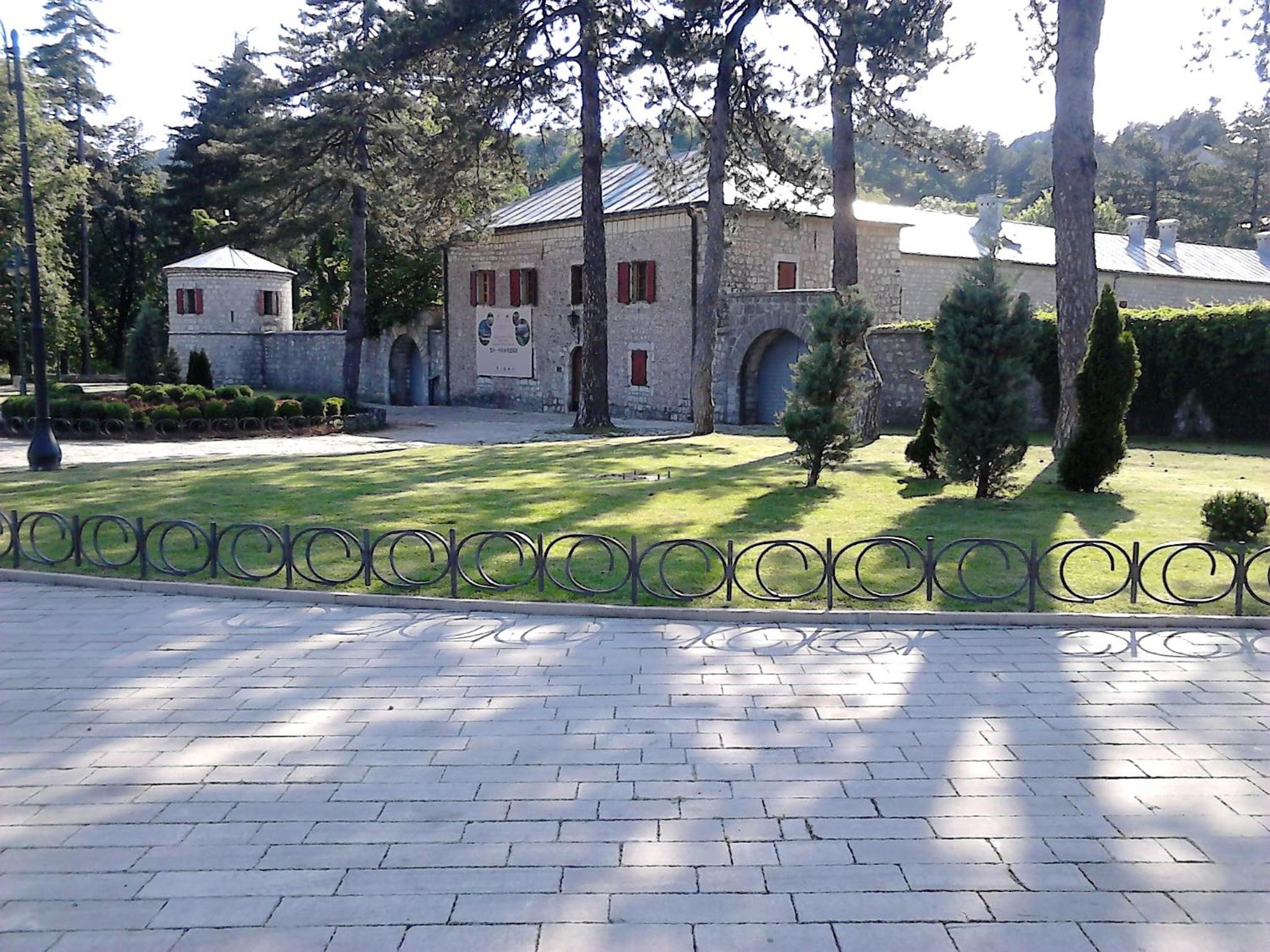 Photo 41