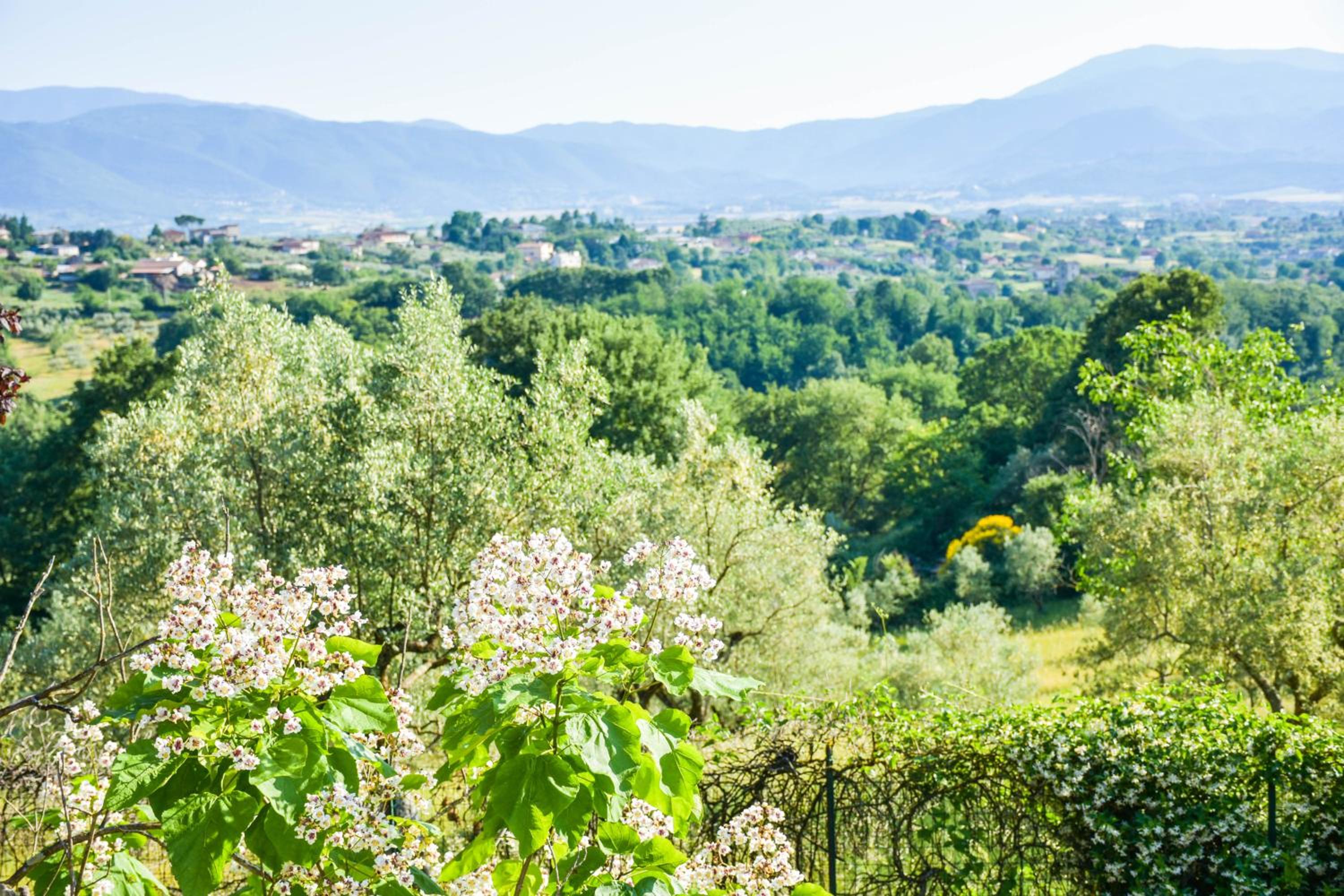 La Quiete