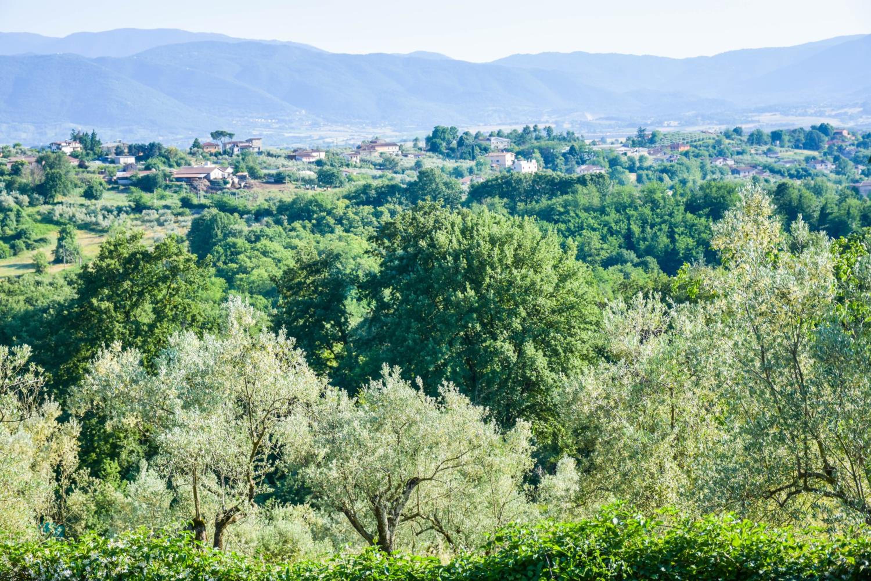 La Quiete