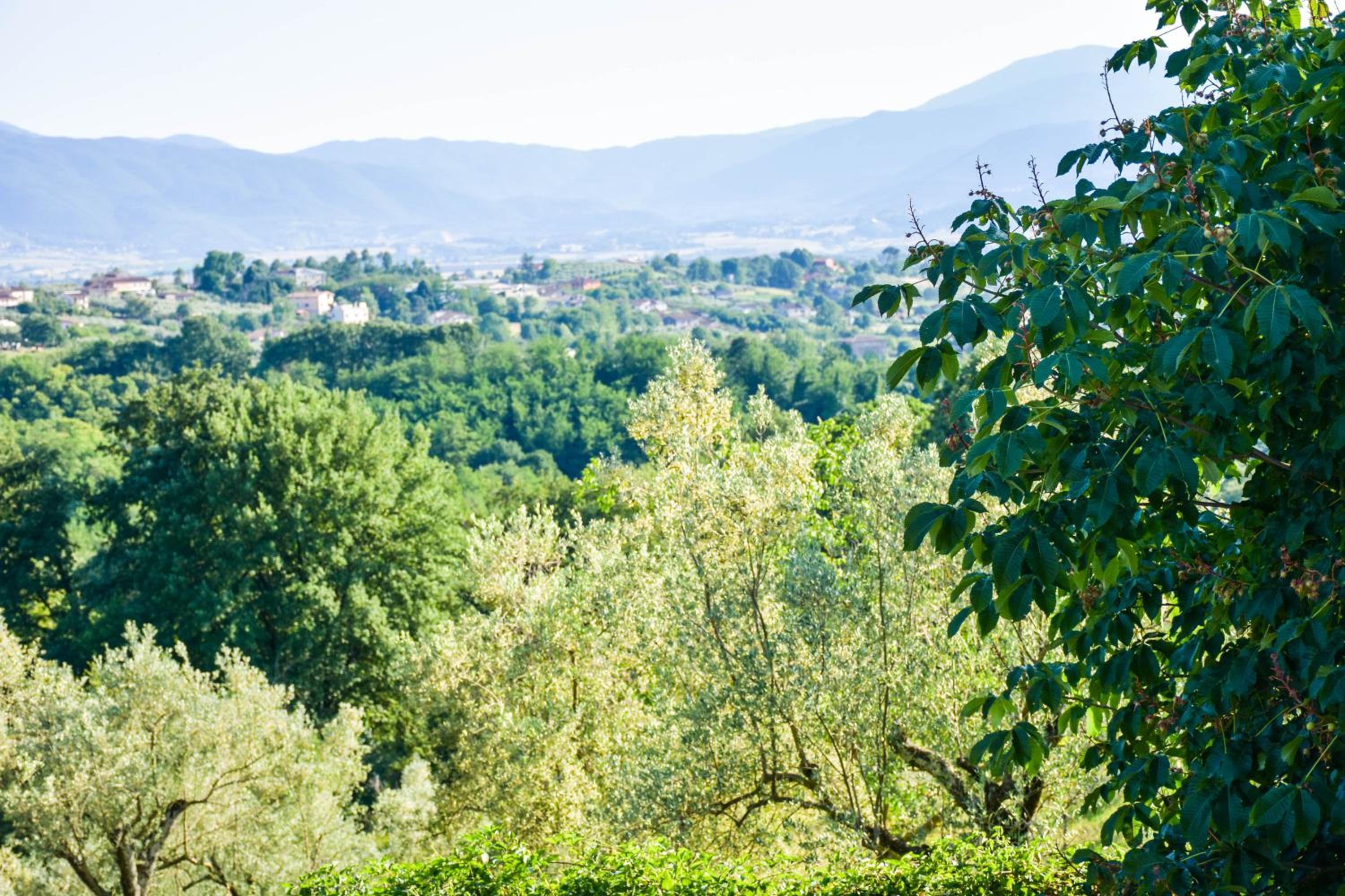 La Quiete