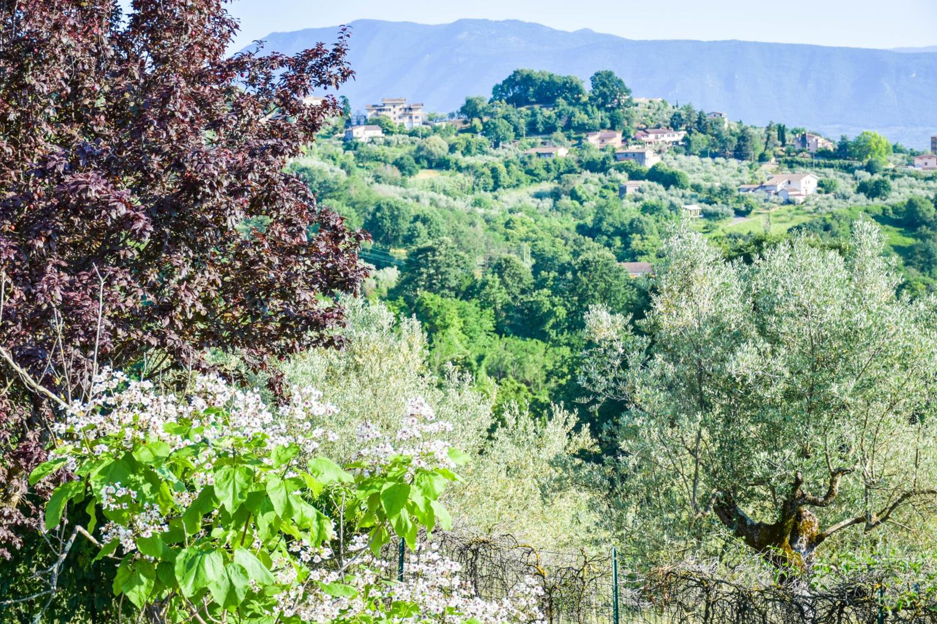 La Quiete