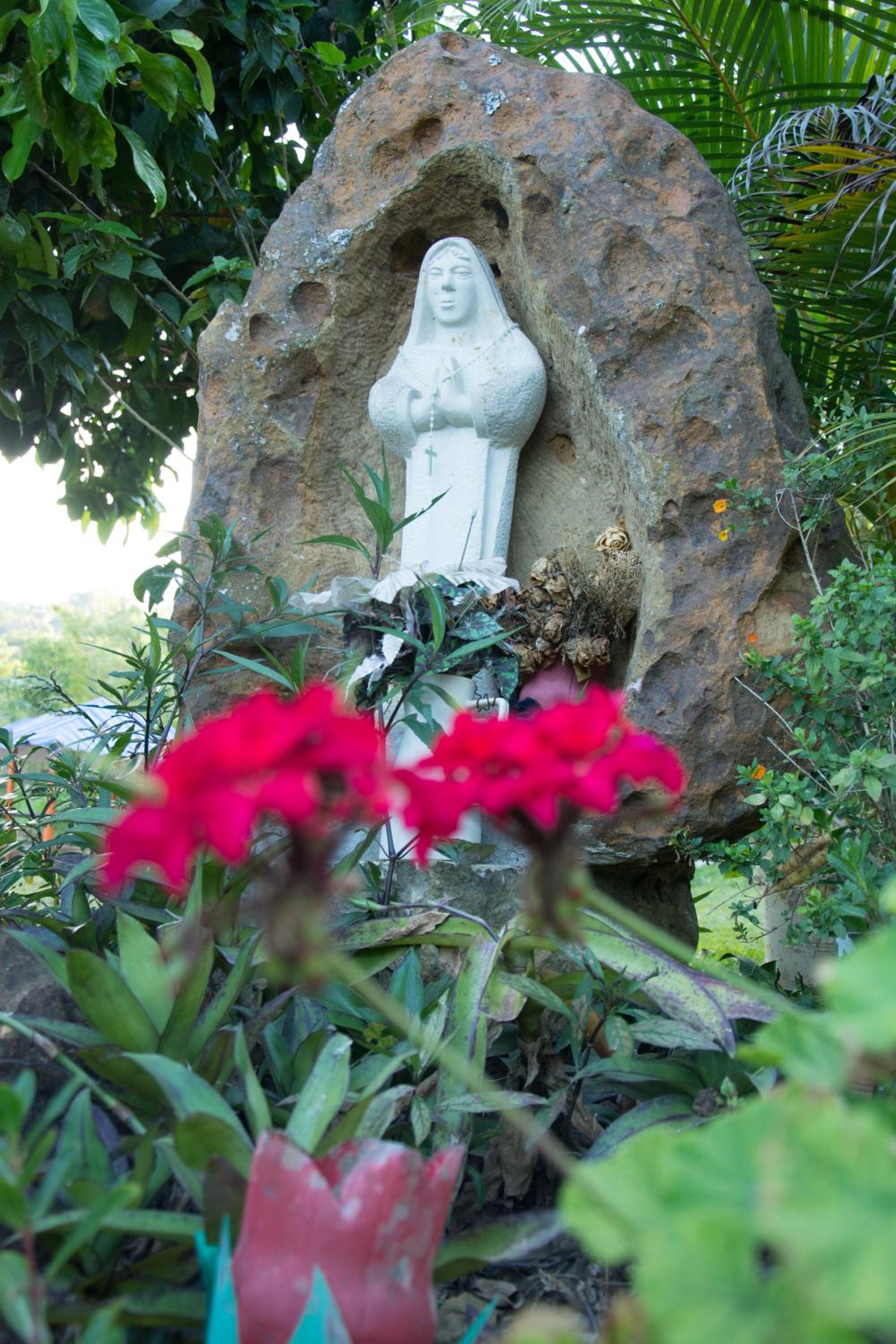 Photo 36