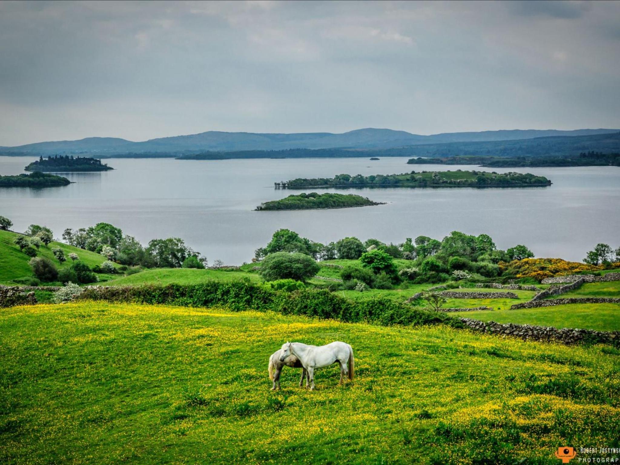 Photo 34
