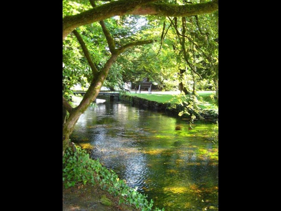 Photo 32