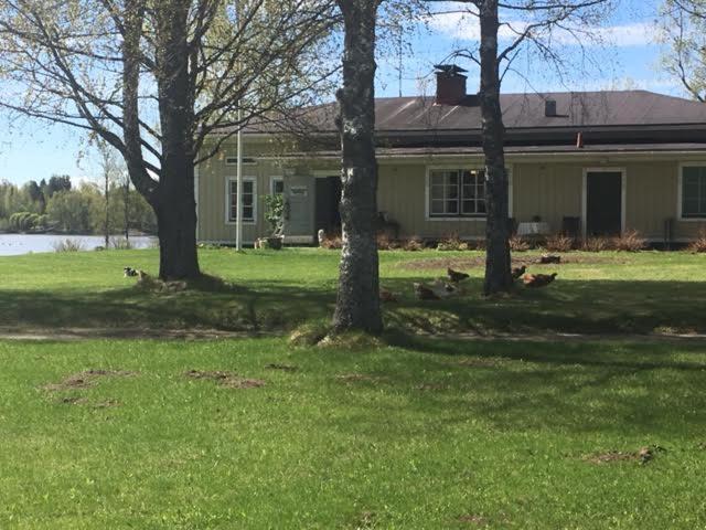 Lomatila Ollila Farm Stay