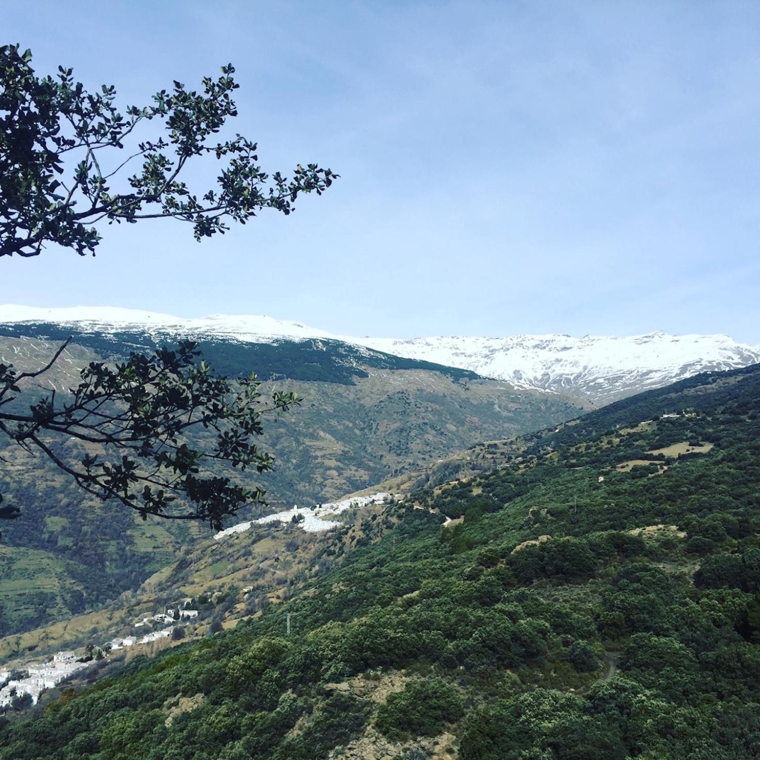 Apartamentos Vista Veleta
