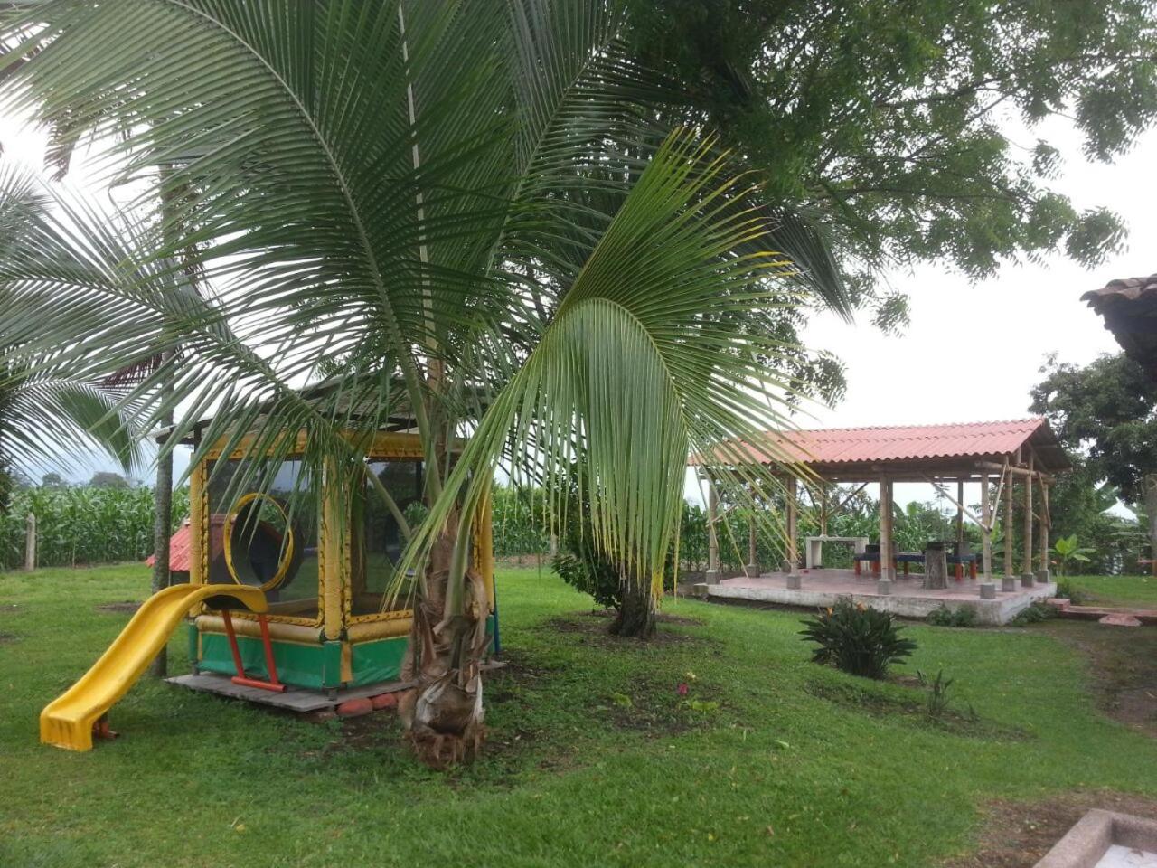 Finca La Camelia