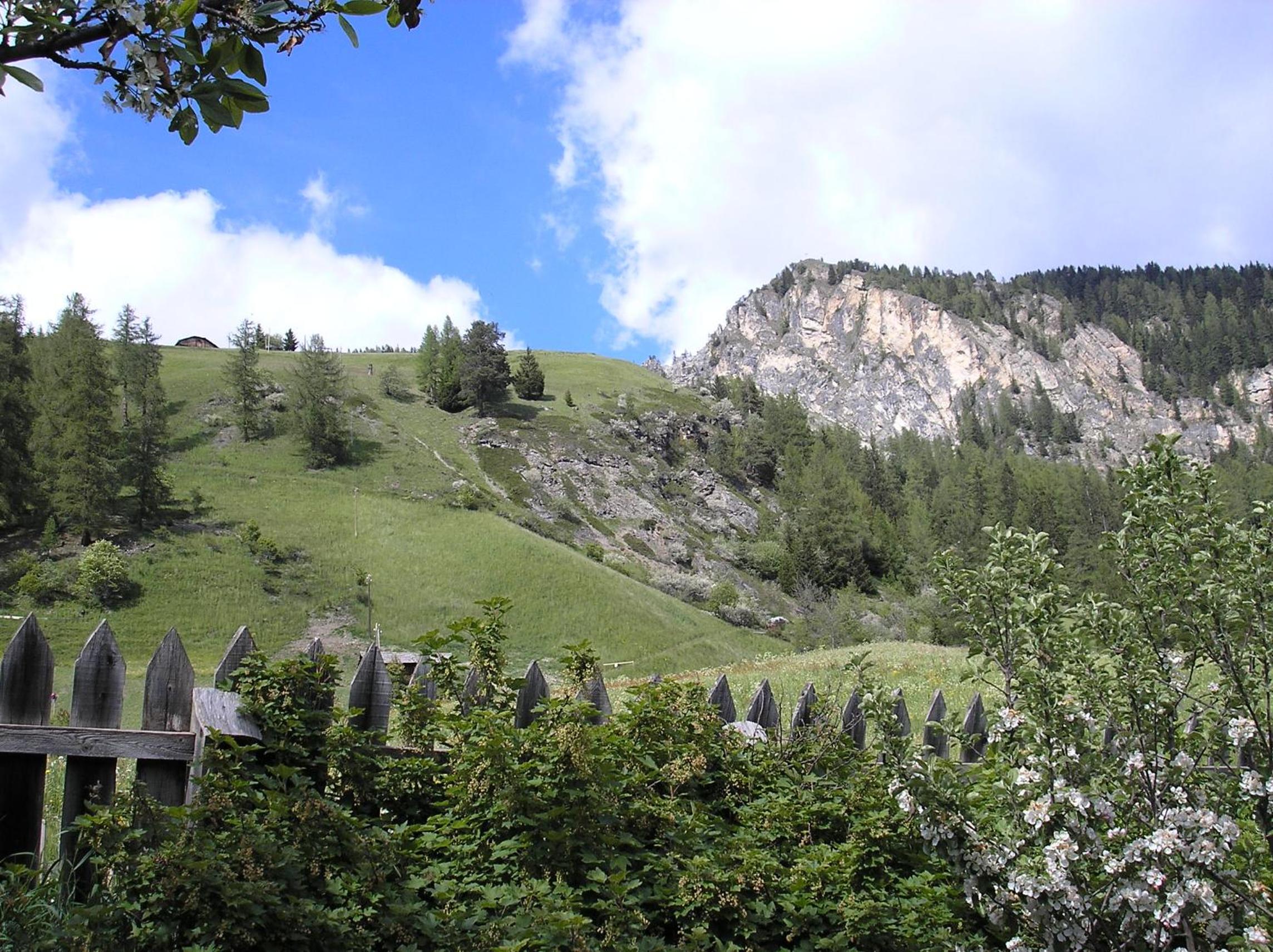 Photo 29