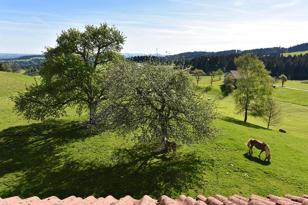 Bio-Bauernhof Heidegger