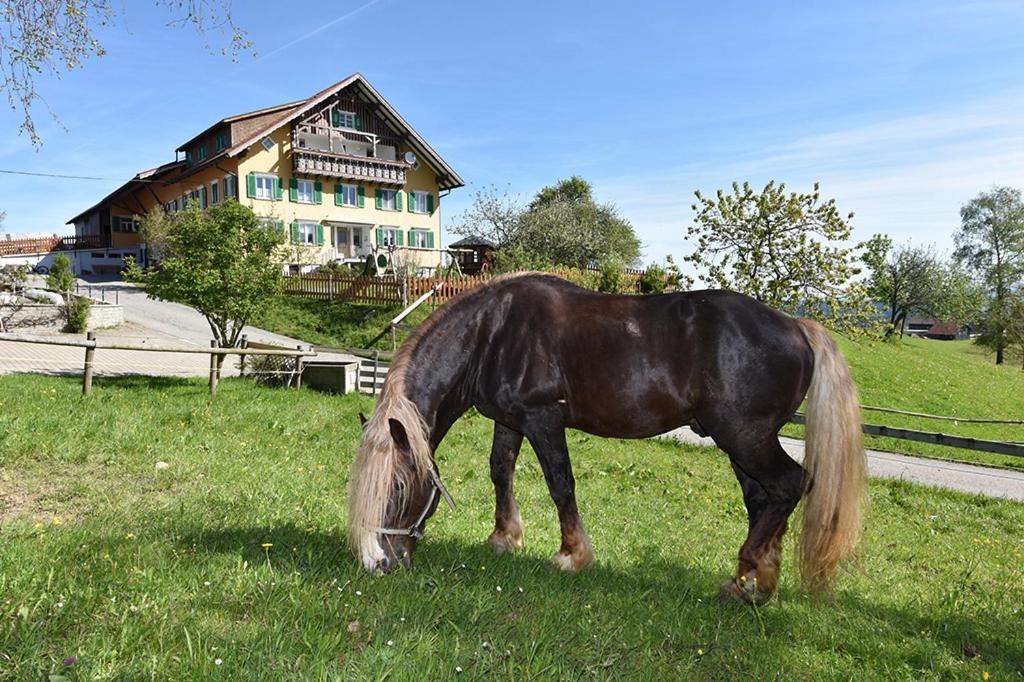 Bio-Bauernhof Heidegger