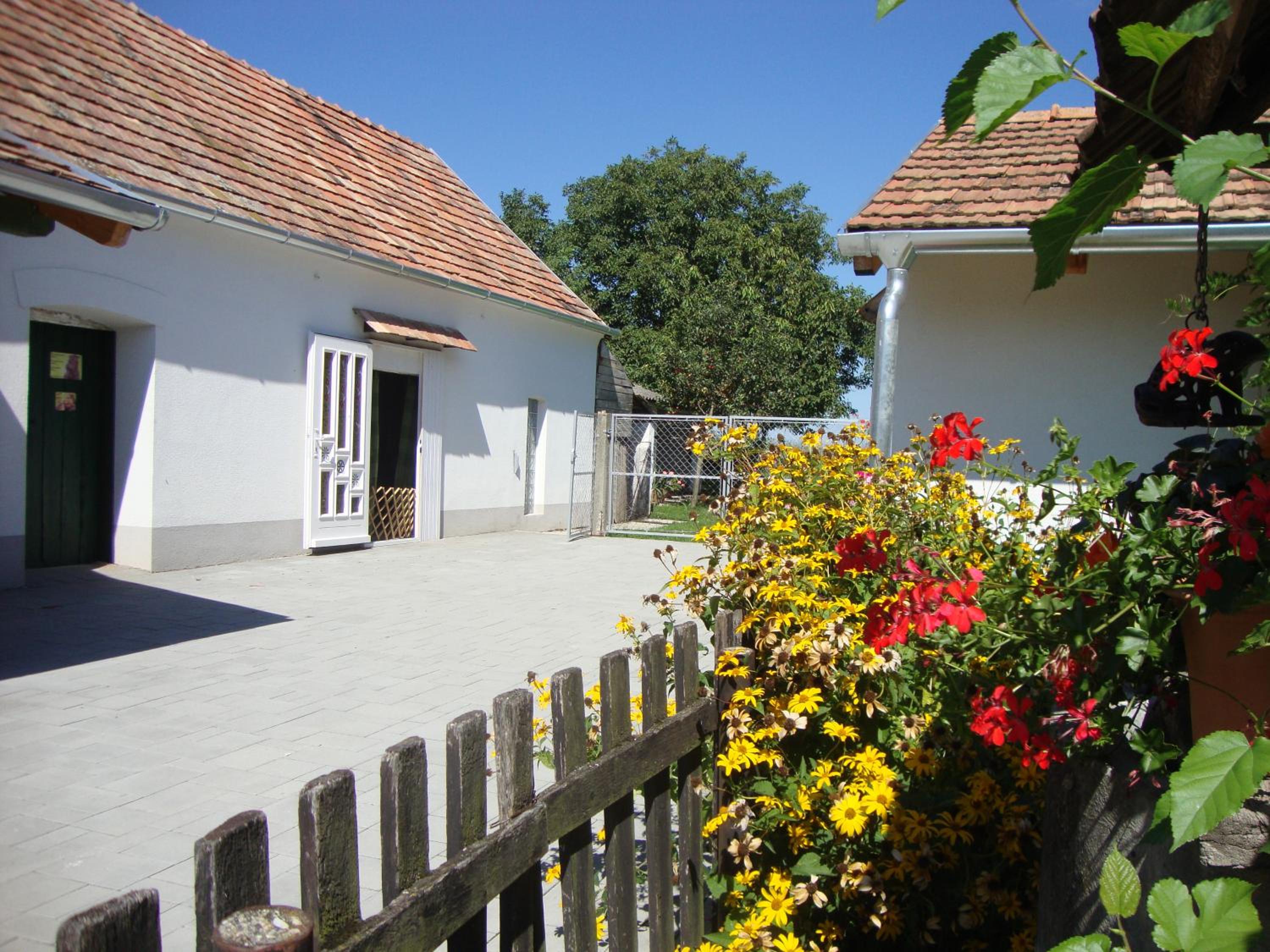 Photo 15