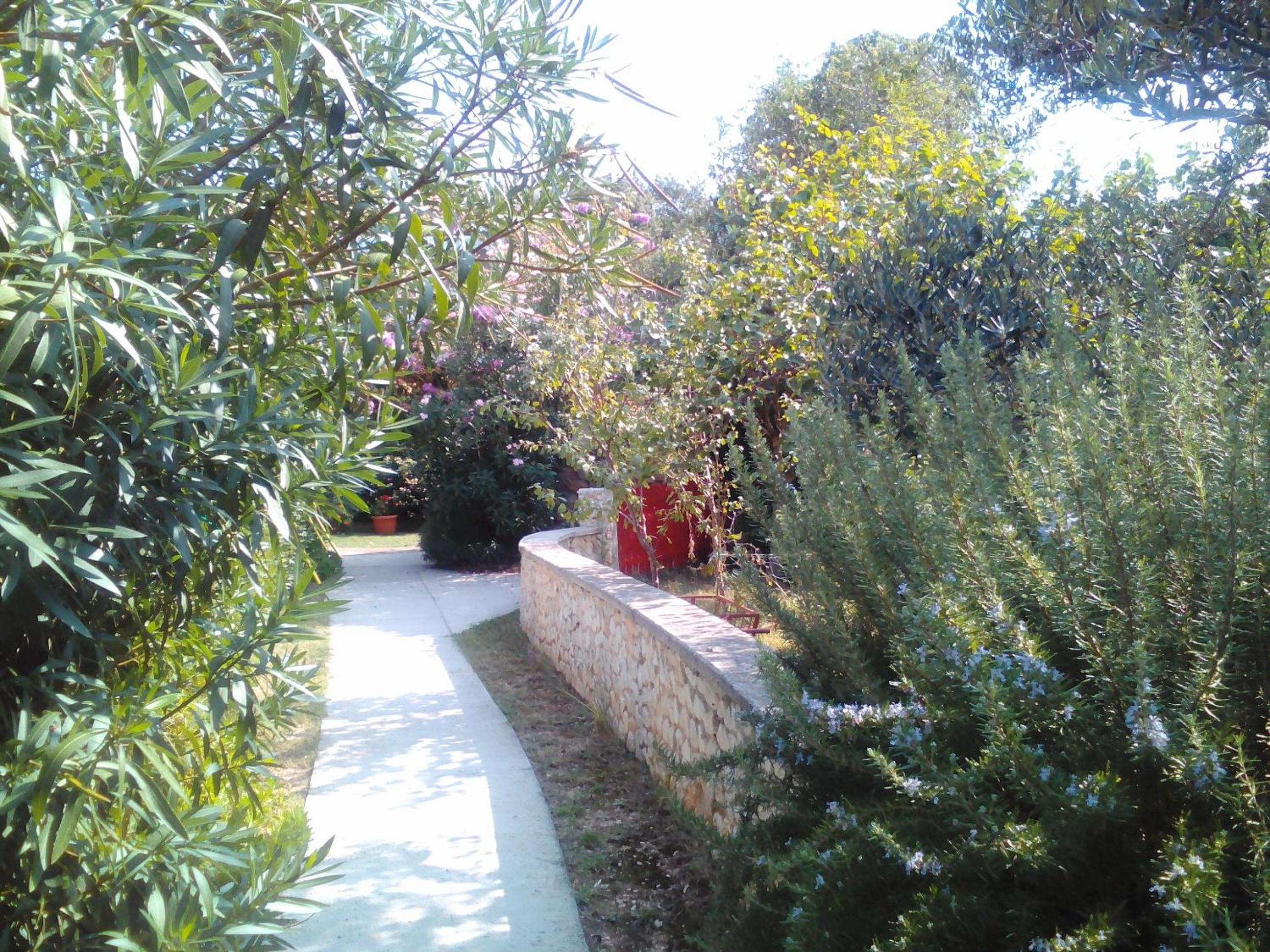 Apartments Lovor